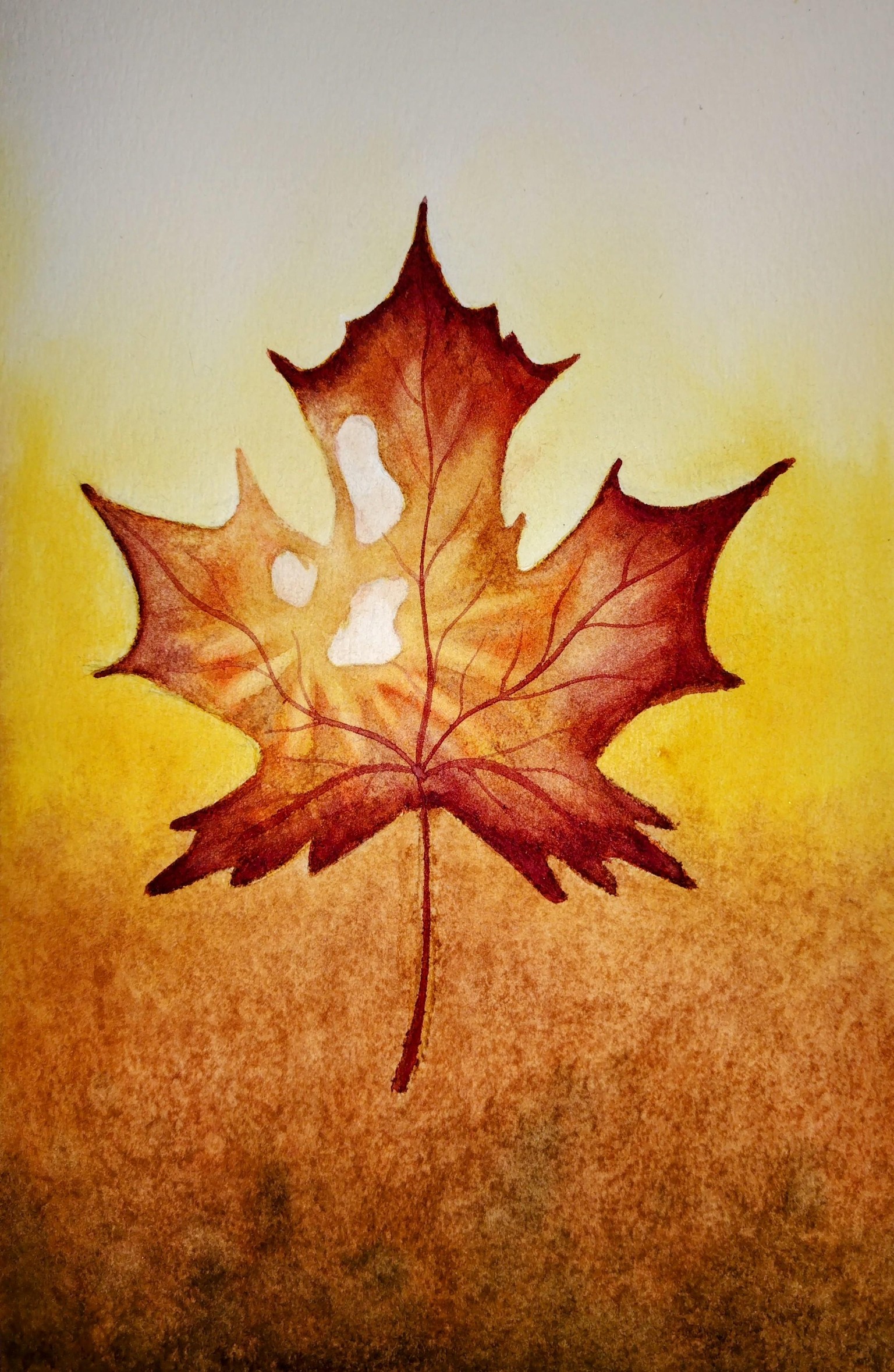 Autumn Leaf studies - image 1 - student project