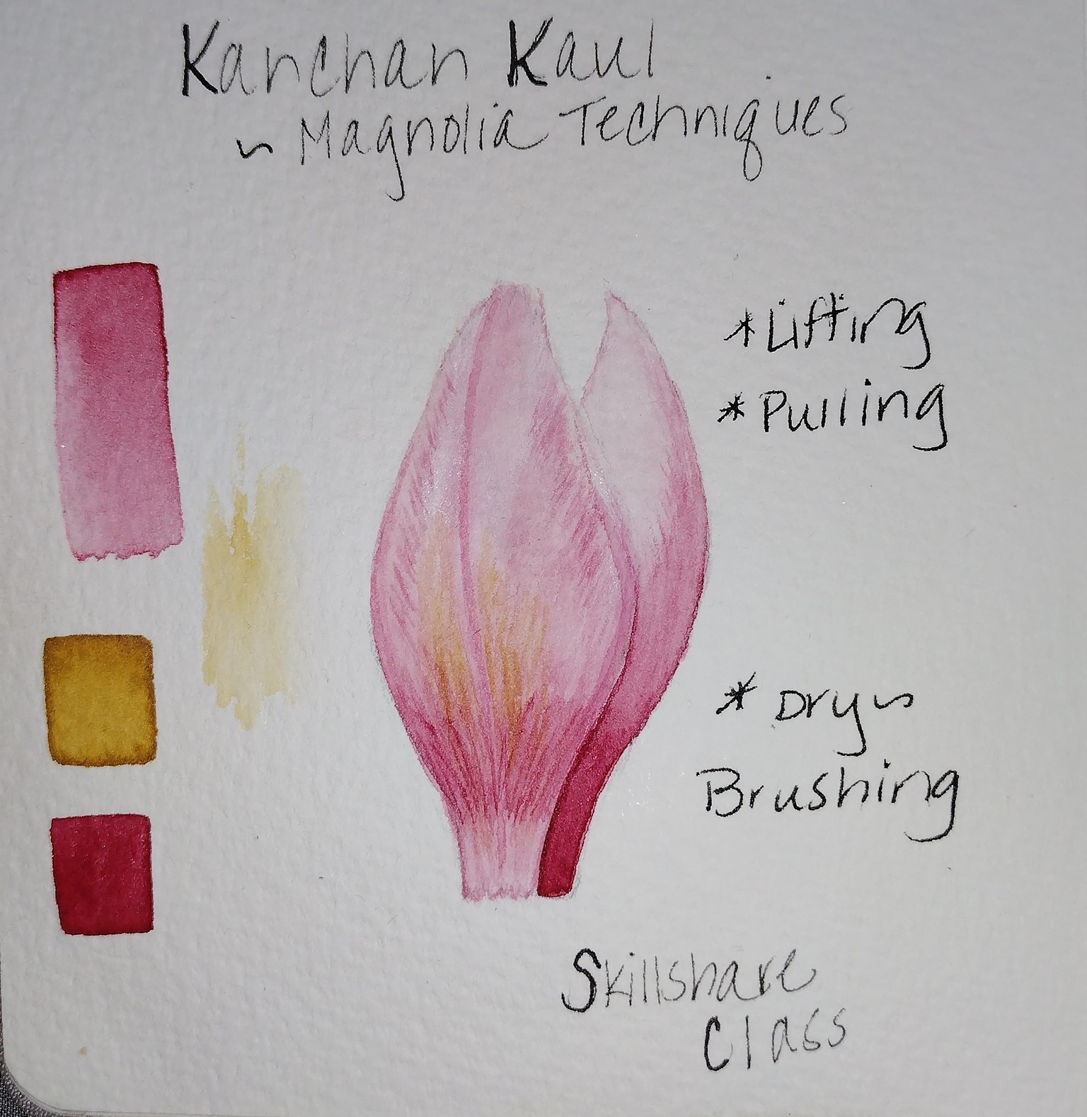 Watercolor Magnolia Techniques - image 1 - student project