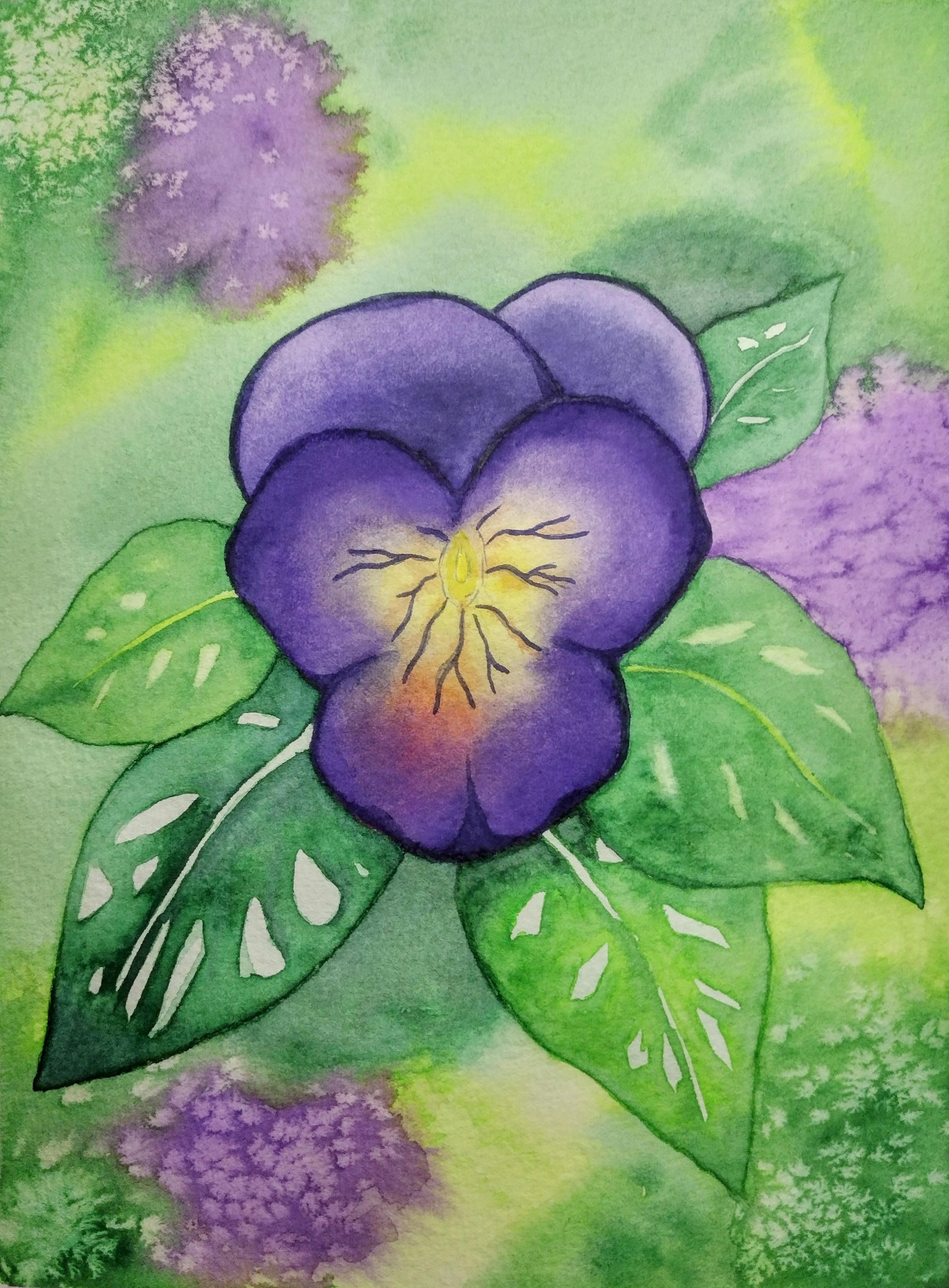 Too much purple pigment on corners of my pansy - image 1 - student project