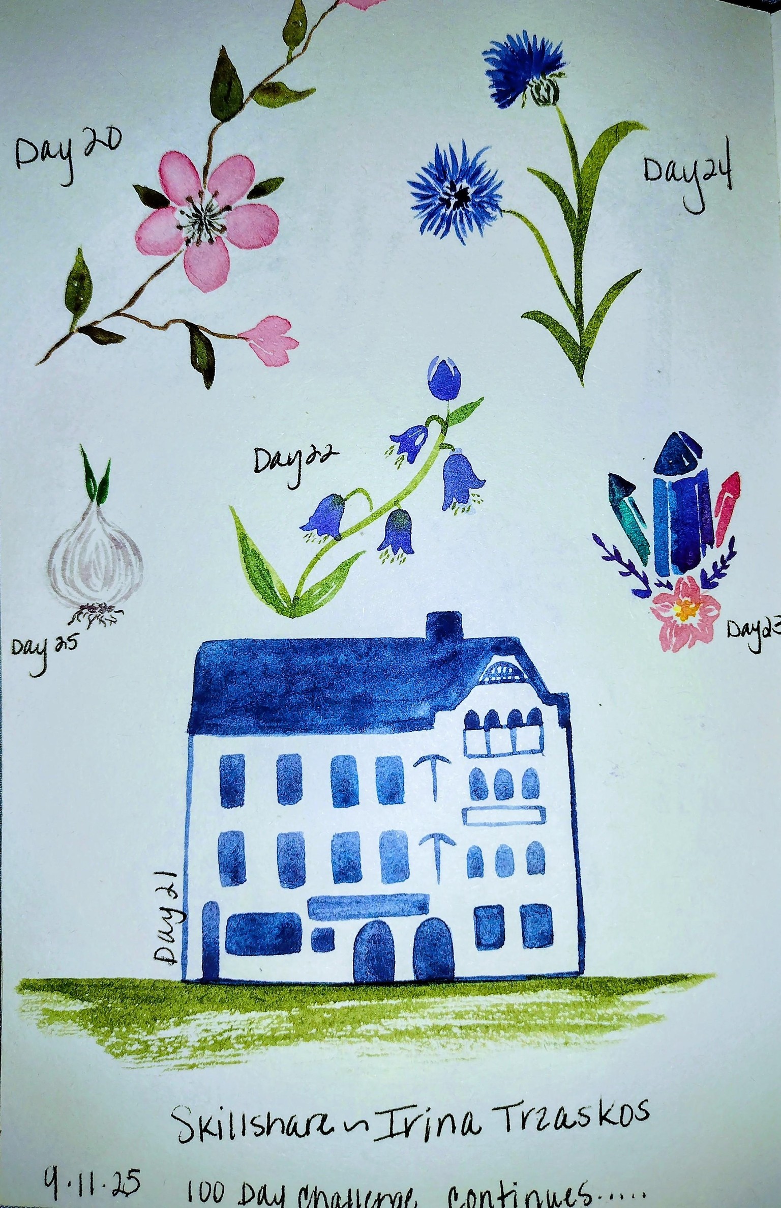 100 day challenge complete! - image 14 - student project