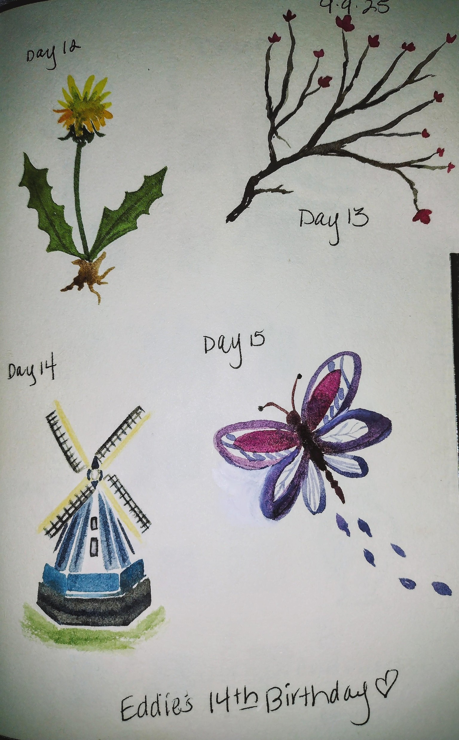 100 day challenge complete! - image 15 - student project