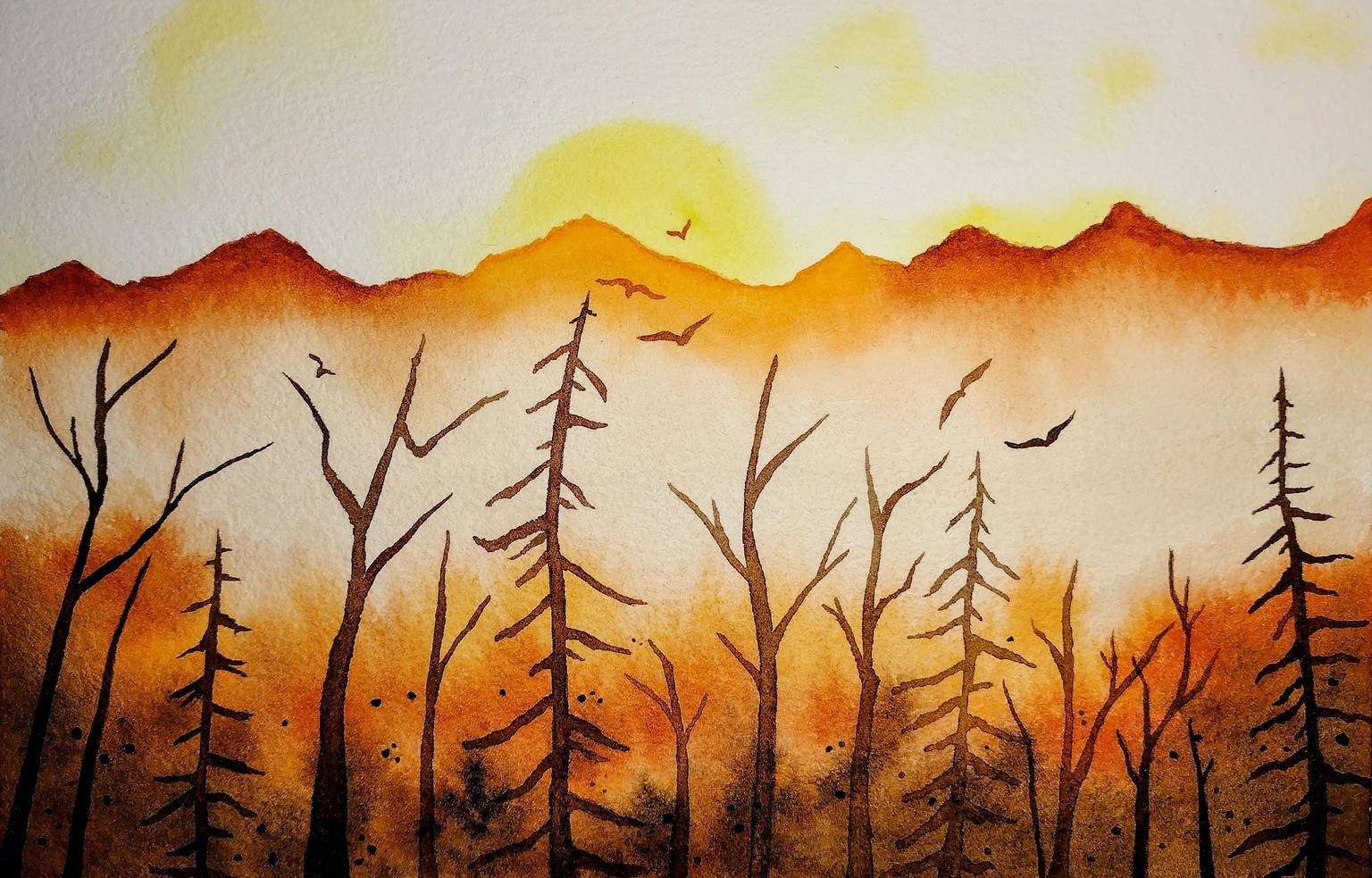 Misty fall morning - image 1 - student project