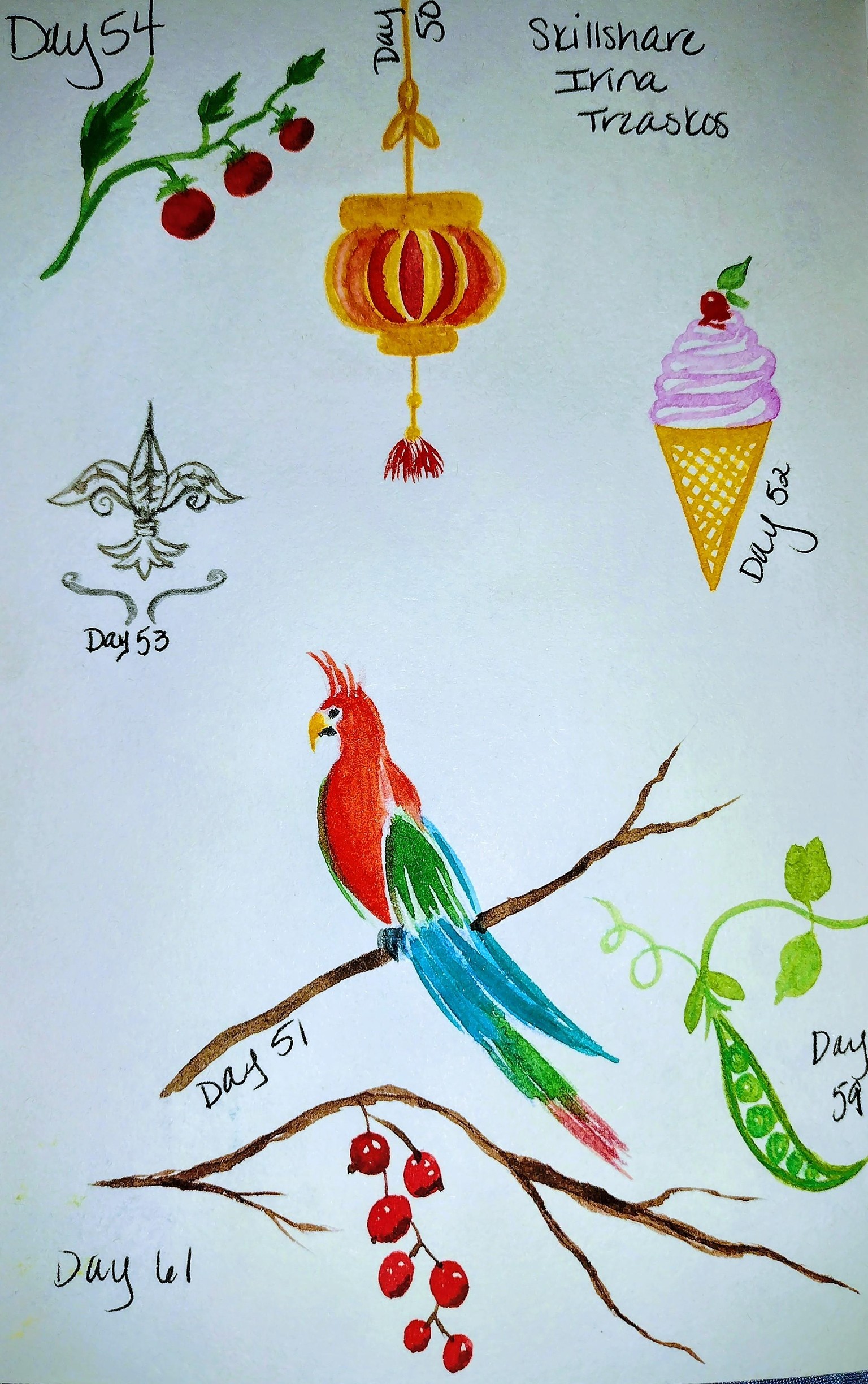 100 day challenge complete! - image 9 - student project