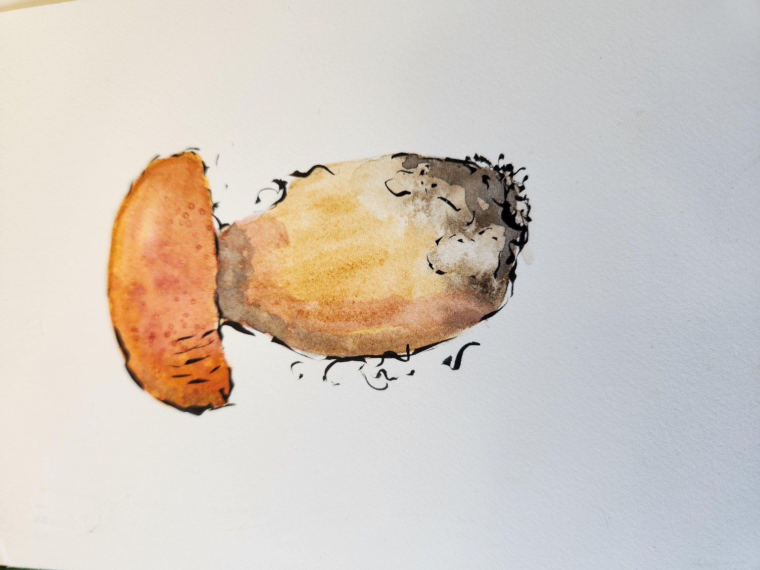 Mushroom with Watercolor and Brush Pen - image 1 - student project