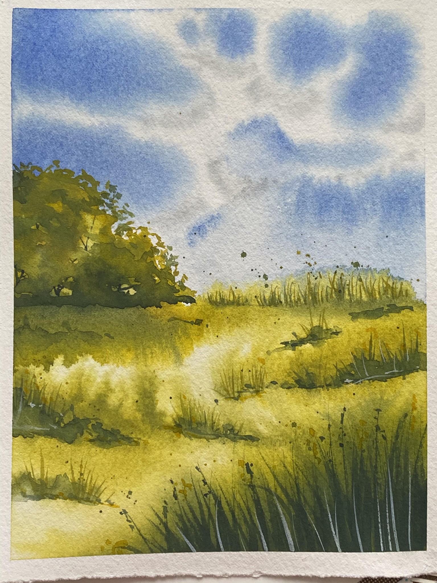 Green landscapes - image 1 - student project