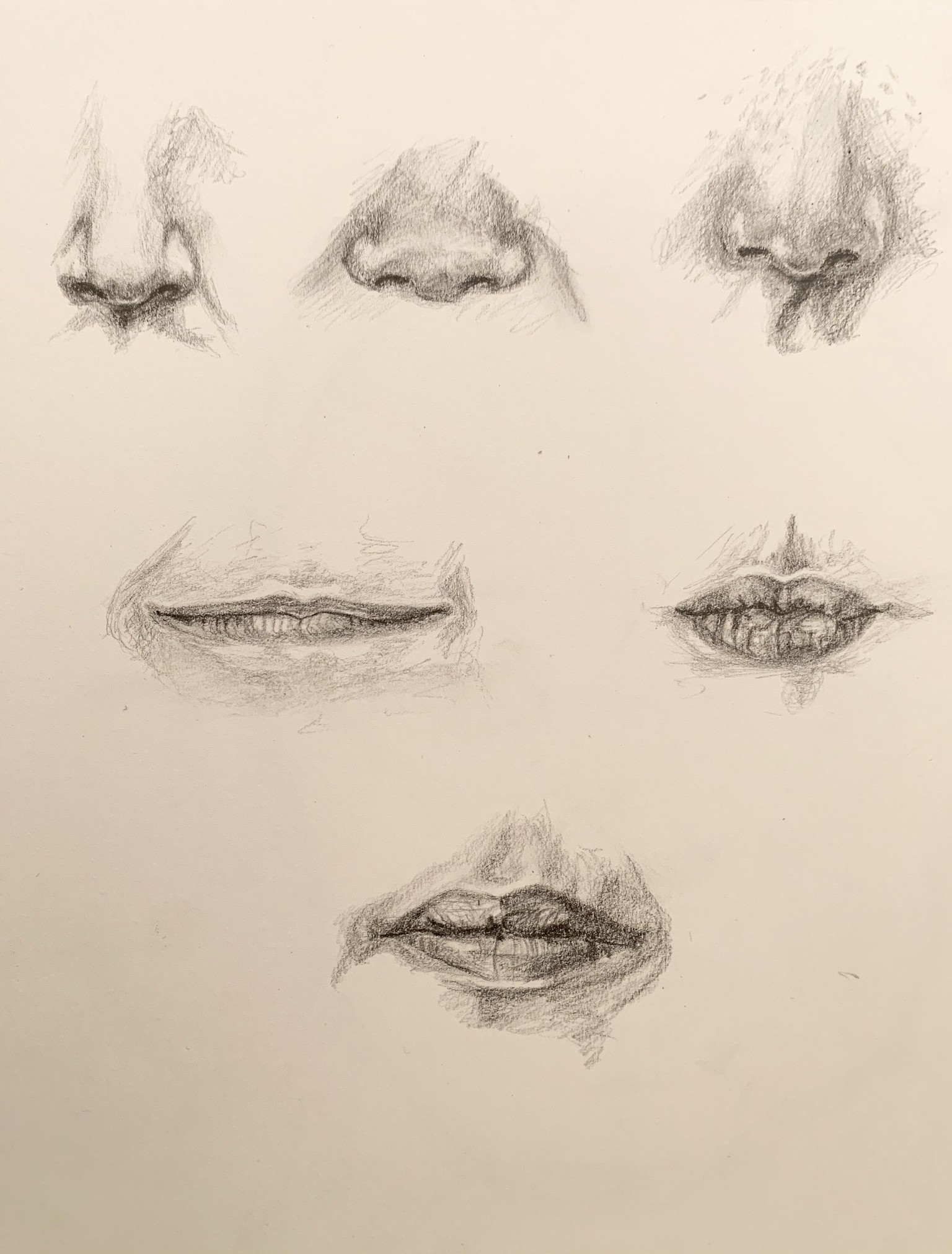 Eyes, noses, mouths - image 2 - student project