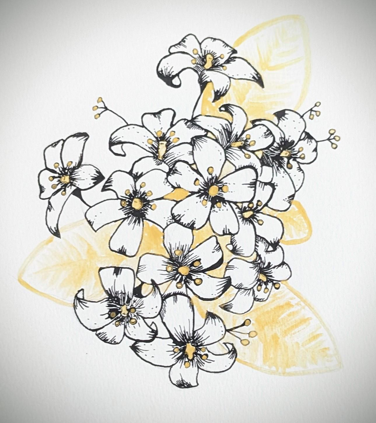 Favorite Flowers - image 1 - student project