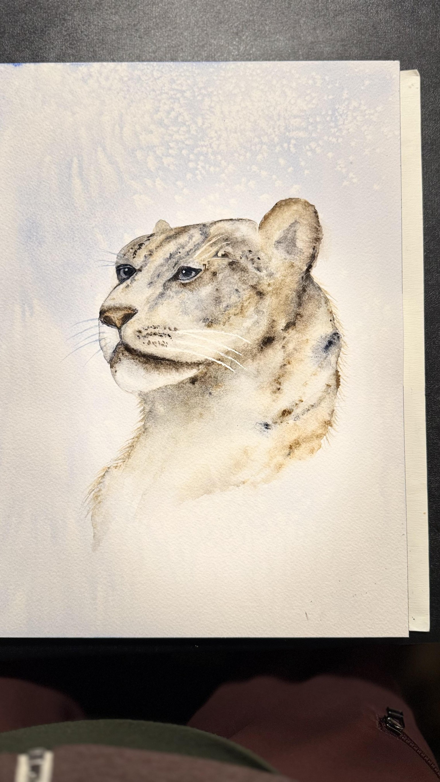Snow Leopard - image 2 - student project