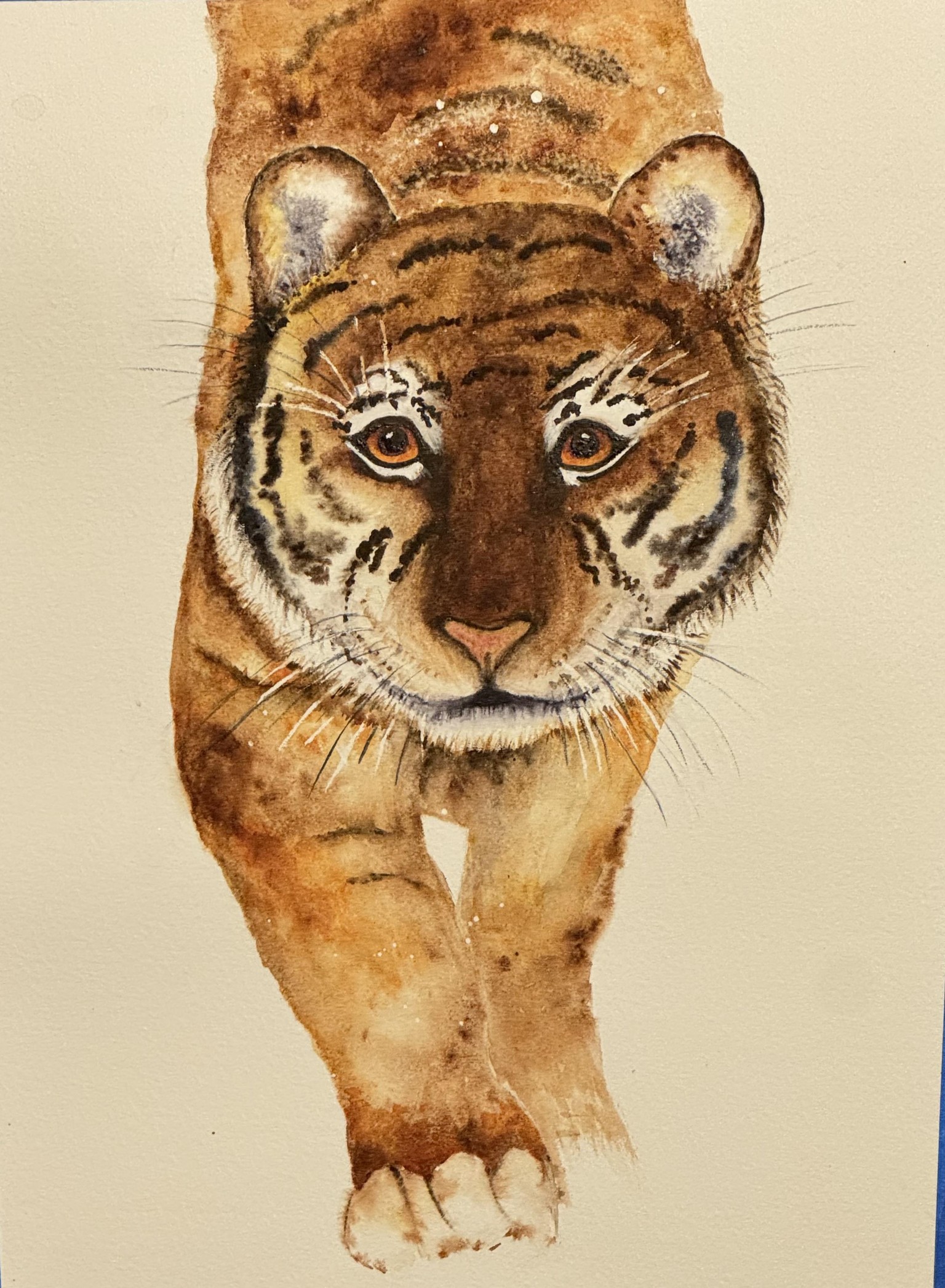 She Tiger - image 1 - student project