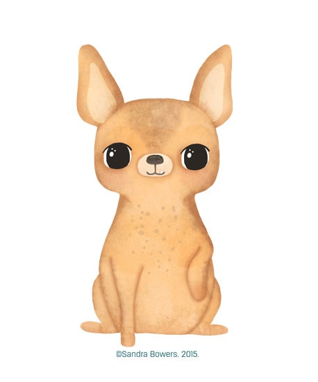Lady, my little Chihuahua - image 3 - student project