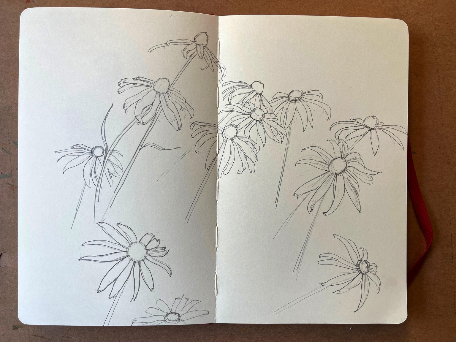 black eyed susans sketchbook entry - image 2 - student project