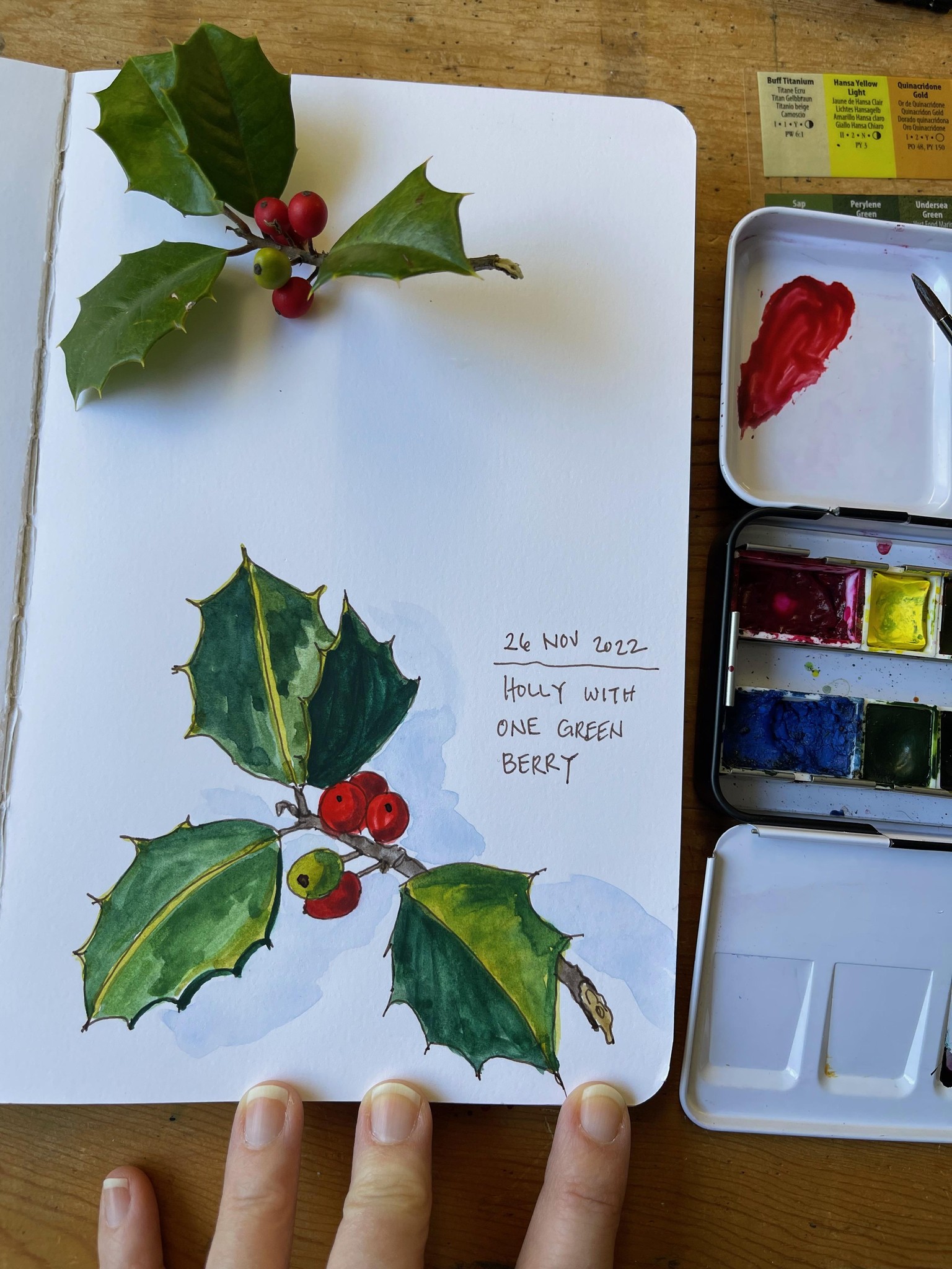 Holly Leaf Sketchbook entry - image 1 - student project