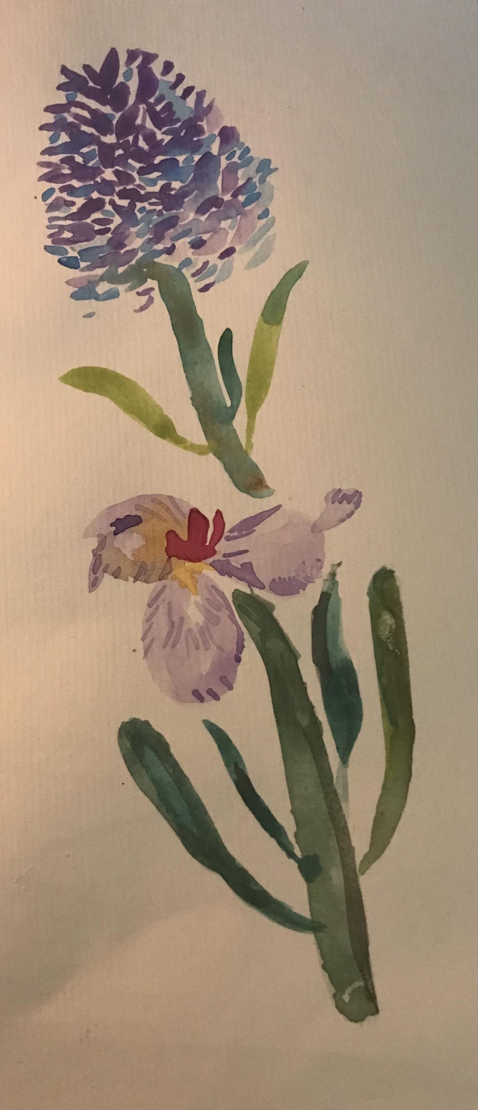 Watercolor project - image 1 - student project