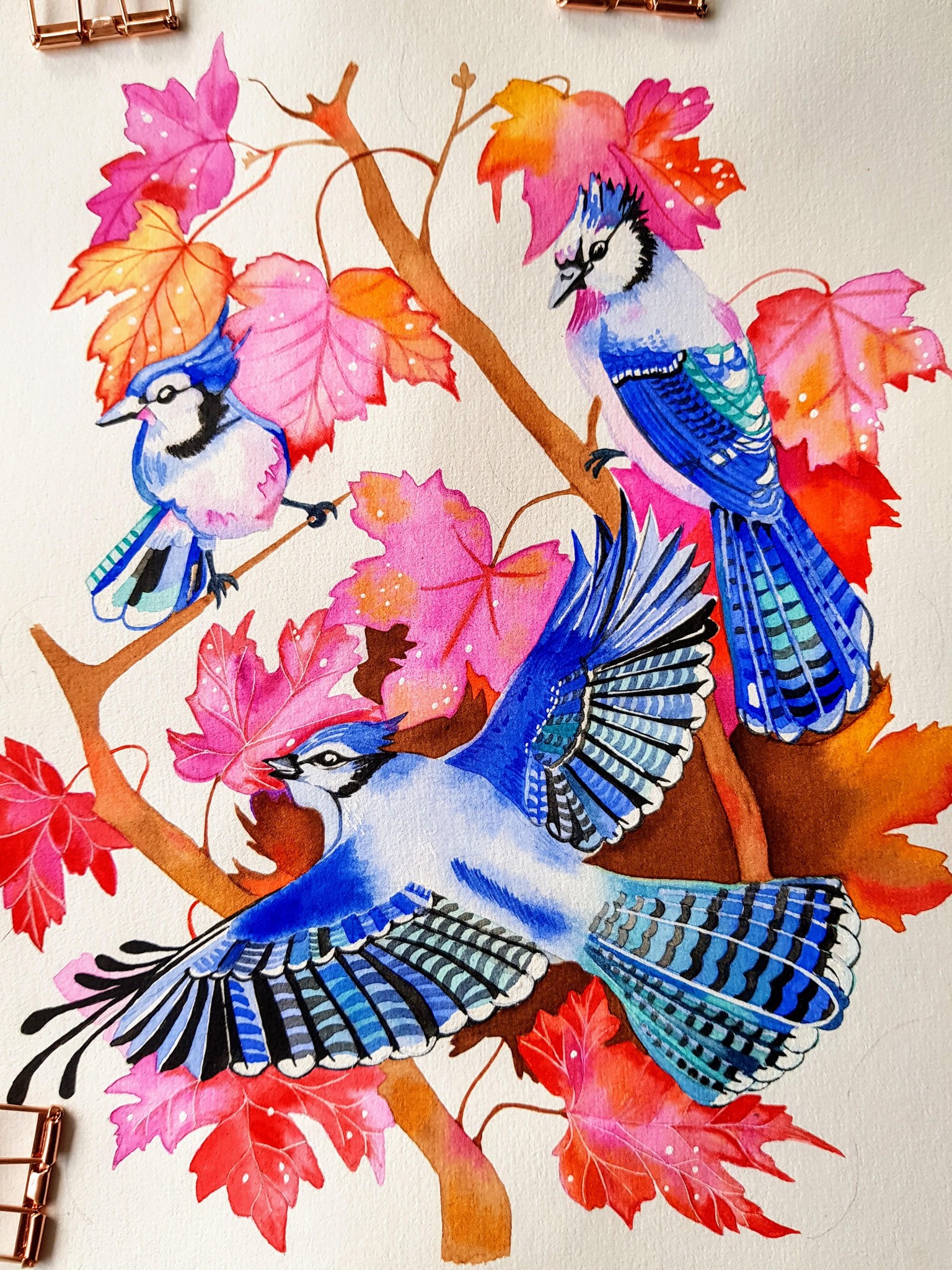 Blue Jay - image 3 - student project