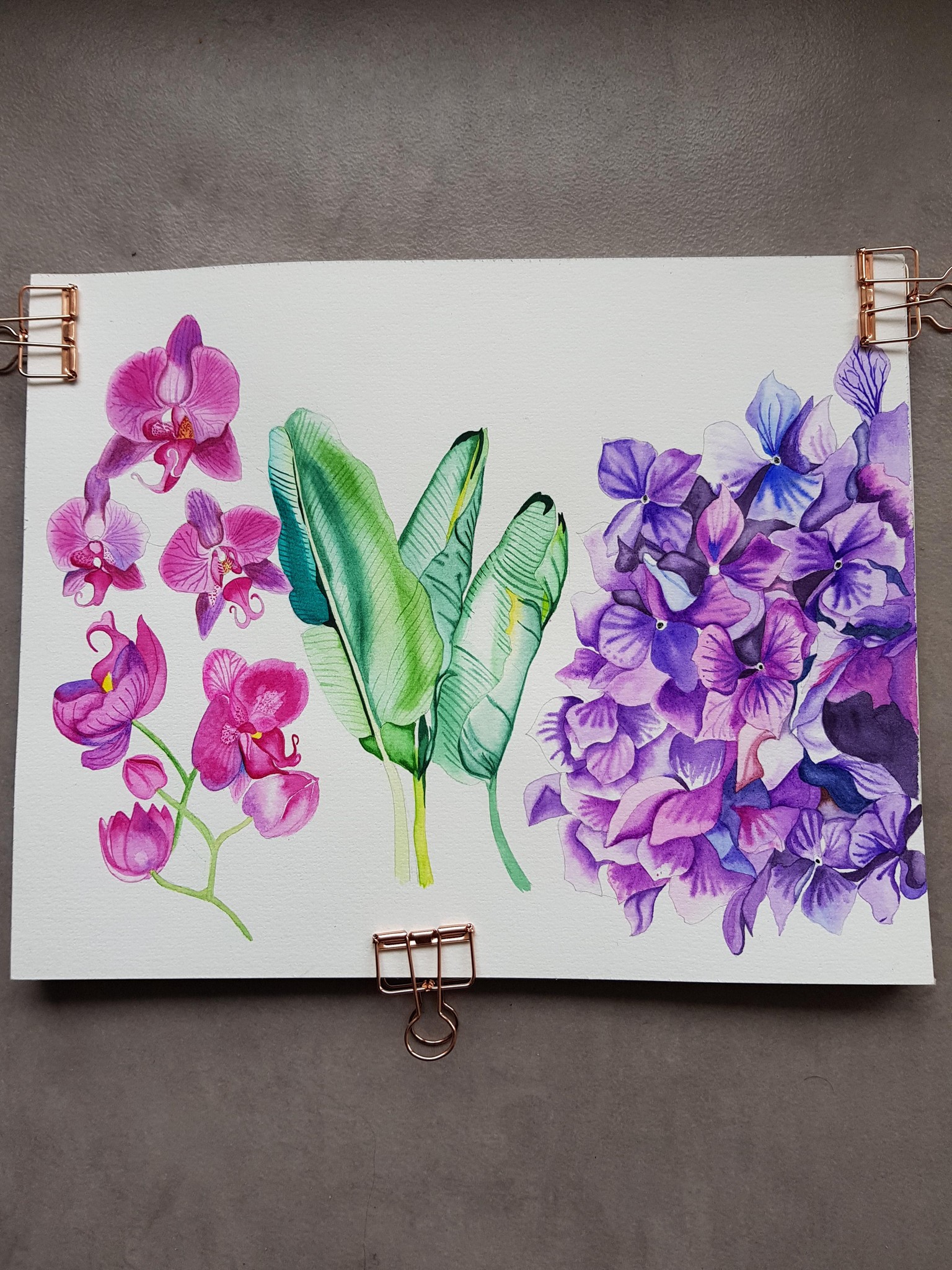 Orchids watercolours - image 1 - student project