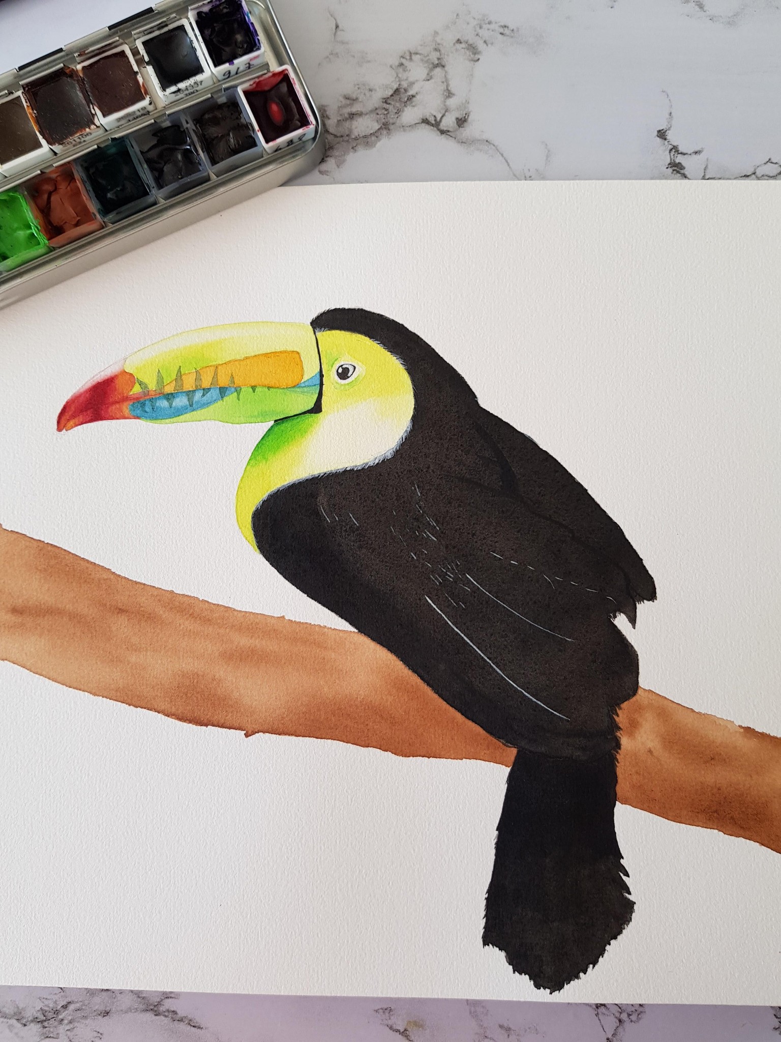 Toucan - colourful bird - image 1 - student project