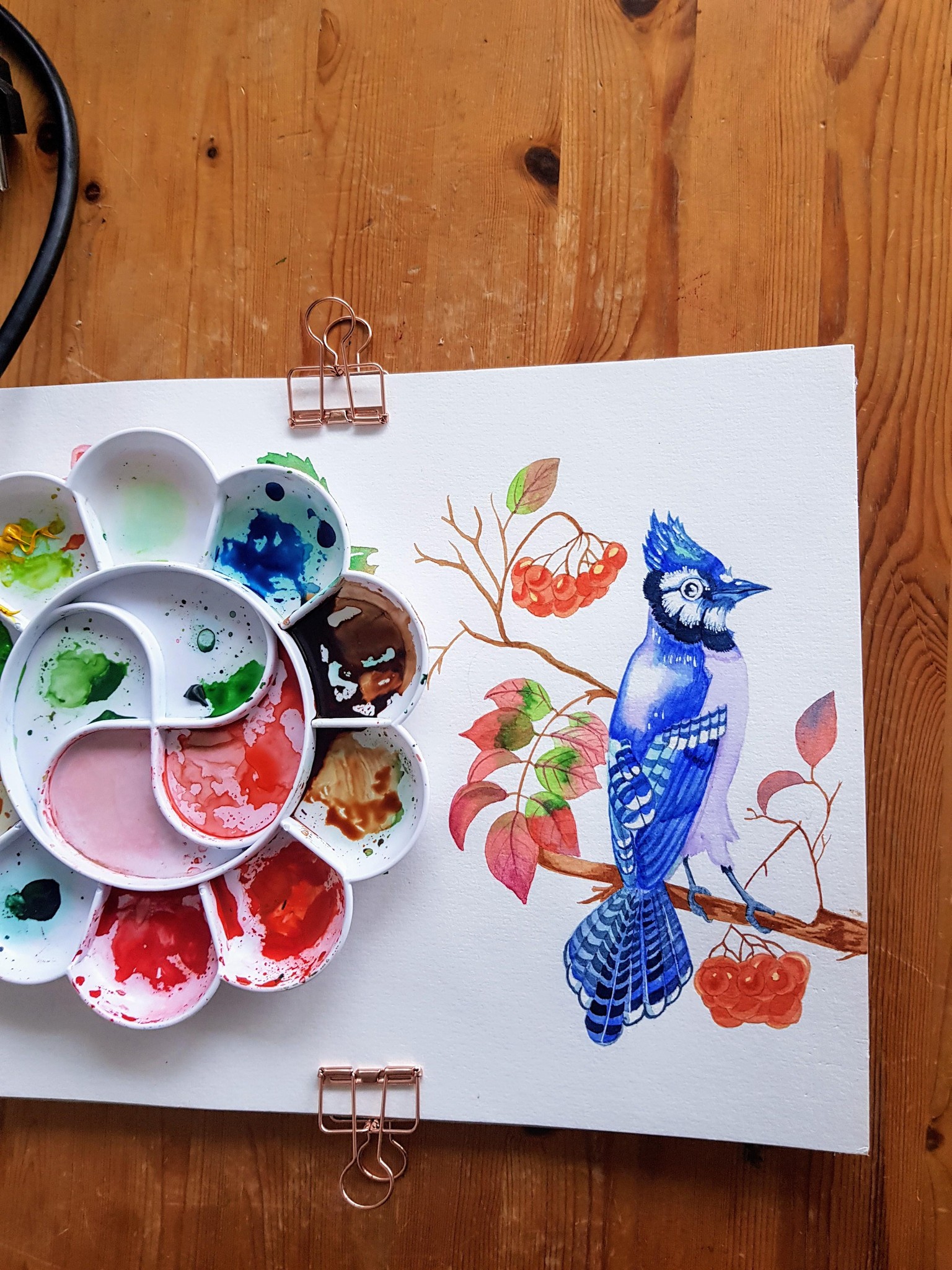 Blue Jay - image 1 - student project