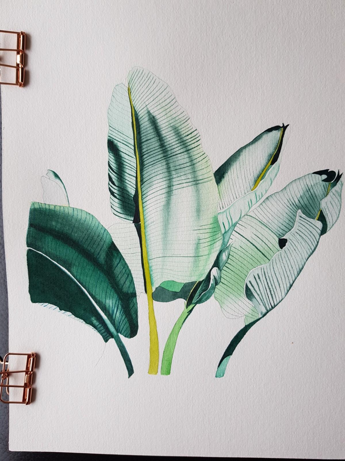 Banana Leaves - image 3 - student project