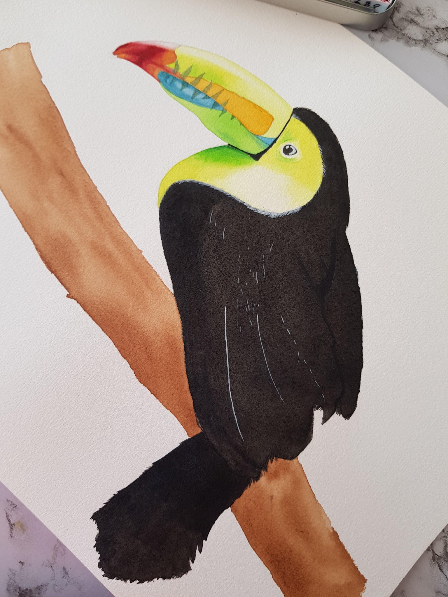 Toucan - colourful bird - image 2 - student project