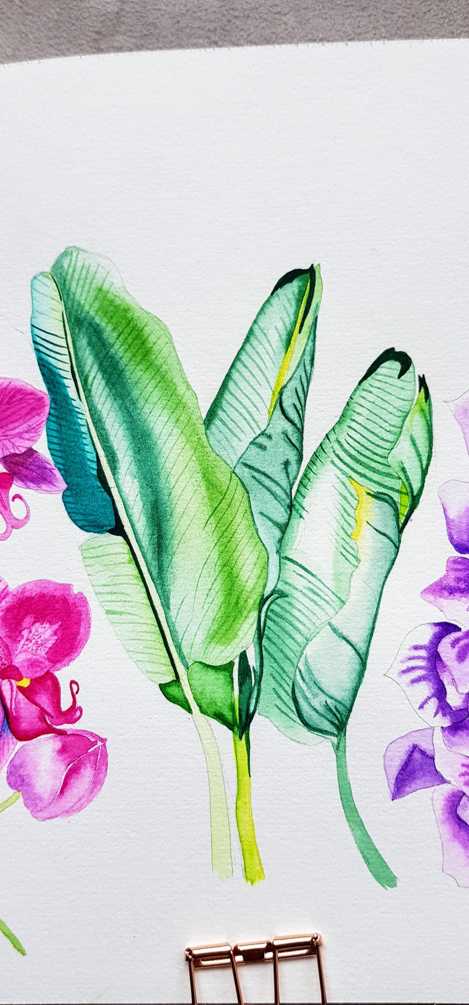 Banana Leaves - image 1 - student project
