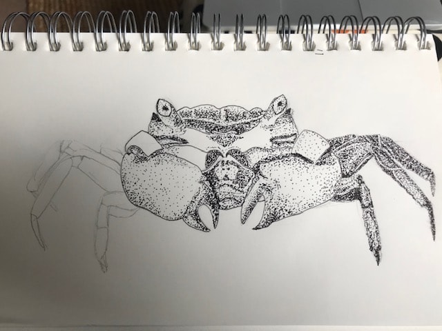 Crab Stipple - image 3 - student project