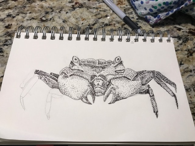 Crab Stipple - image 2 - student project