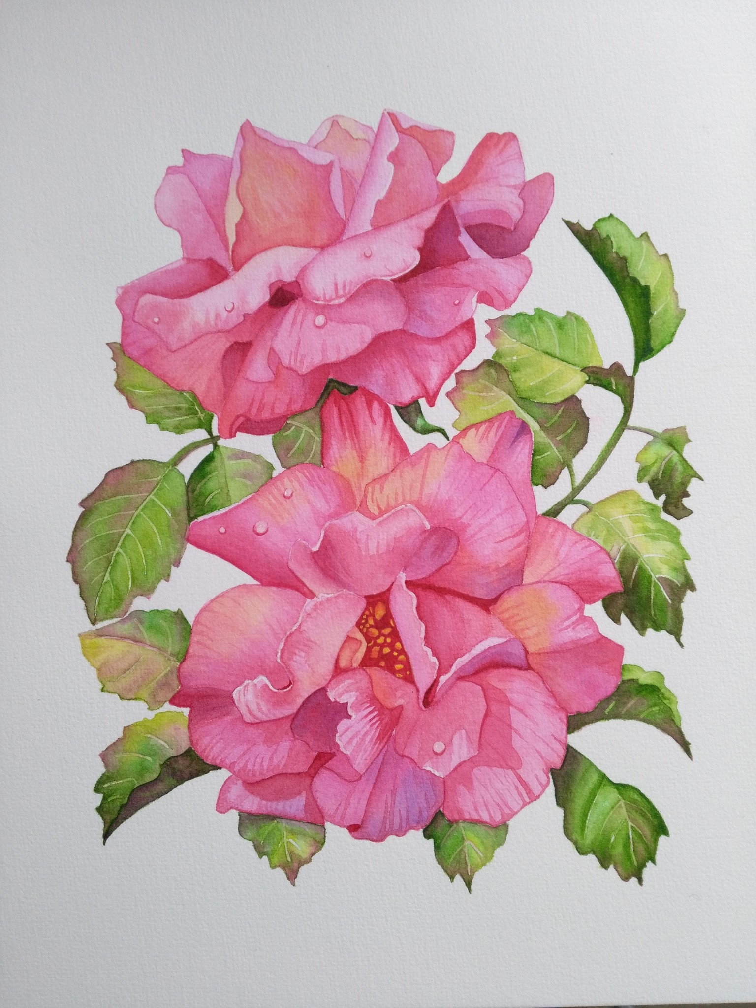 Roses - image 1 - student project