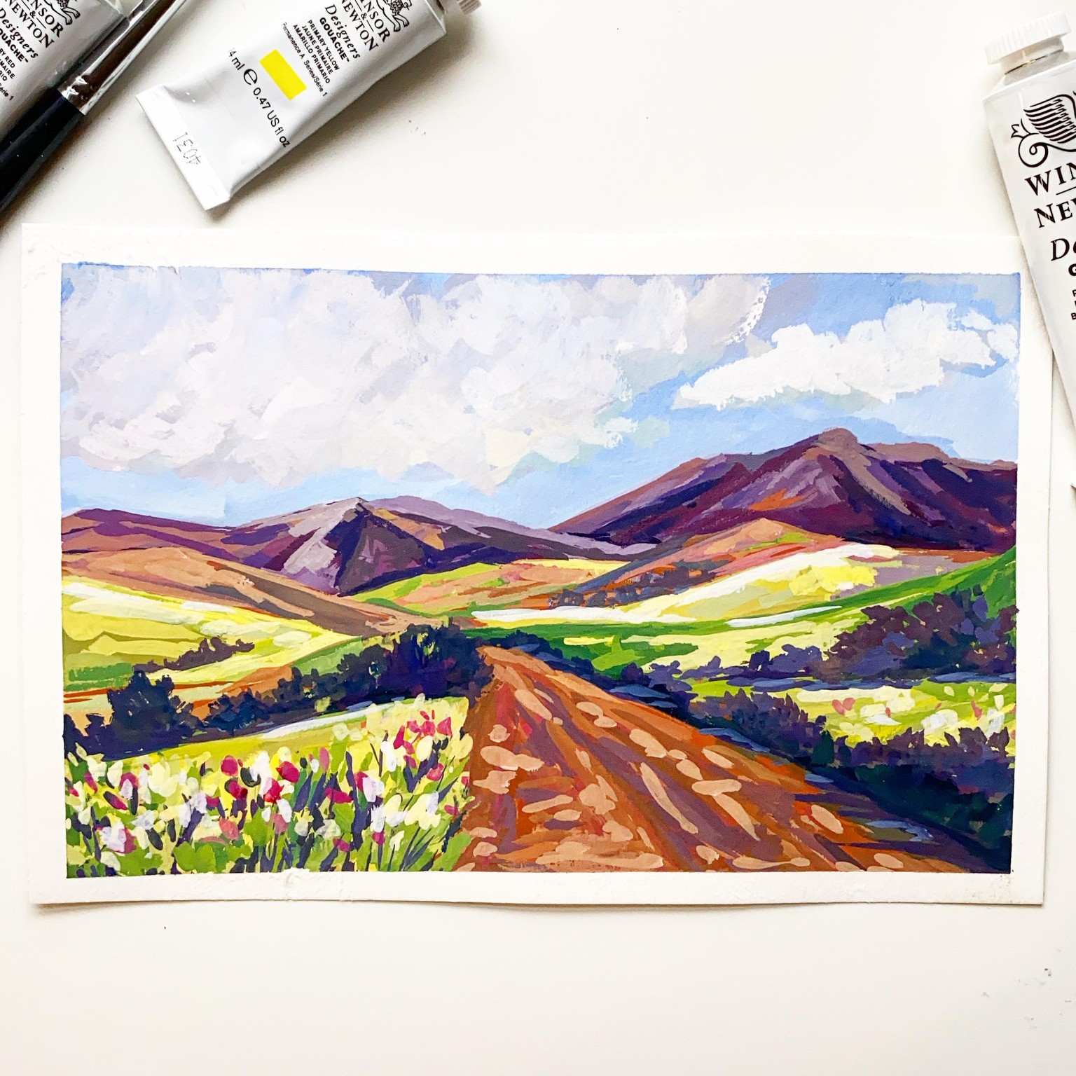 Rolling hills - image 1 - student project