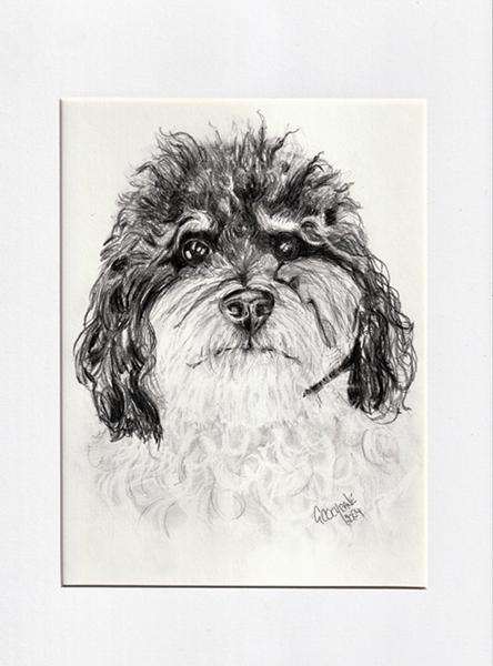 Dog Sketches - image 1 - student project