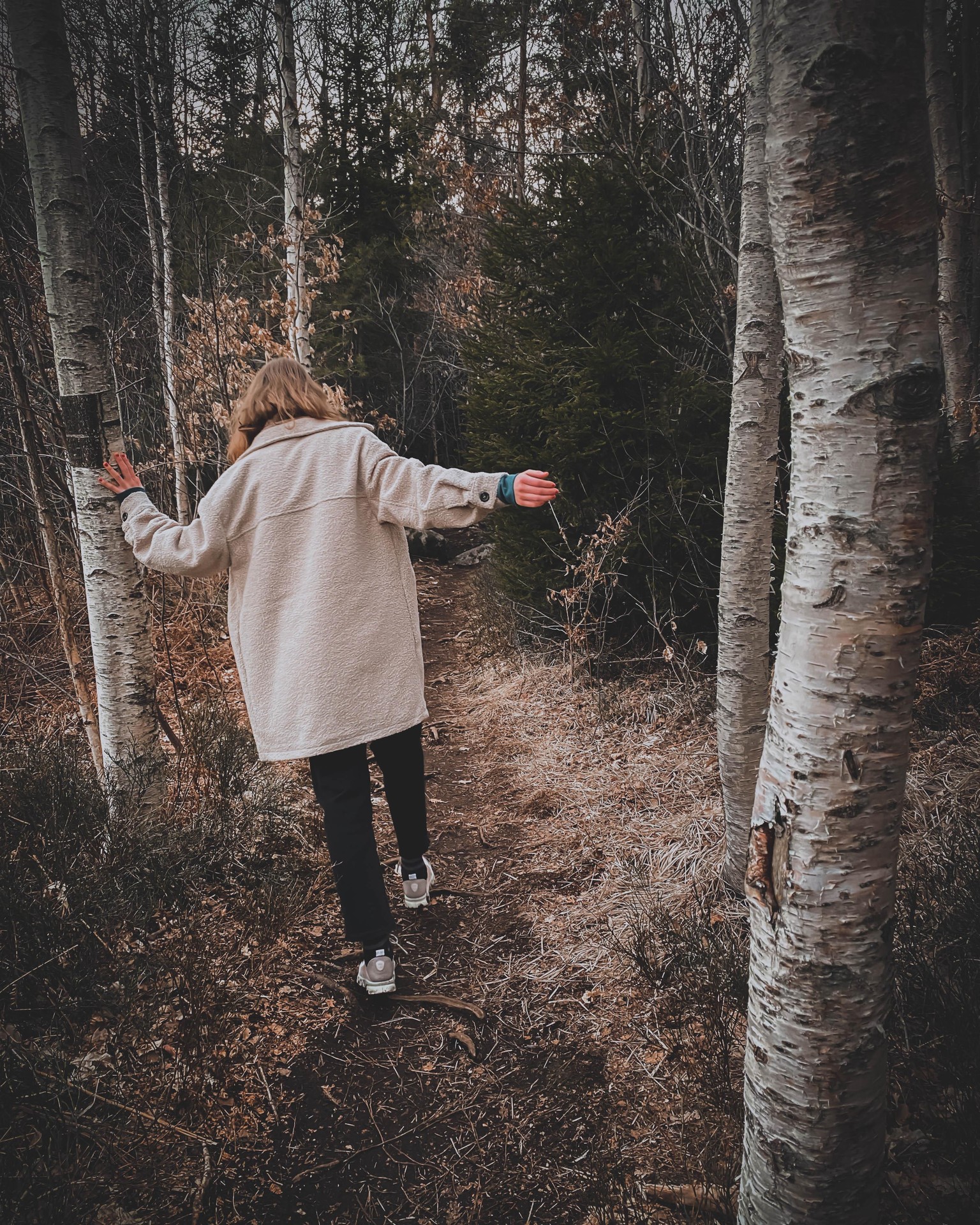 Fairytale woods - image 1 - student project