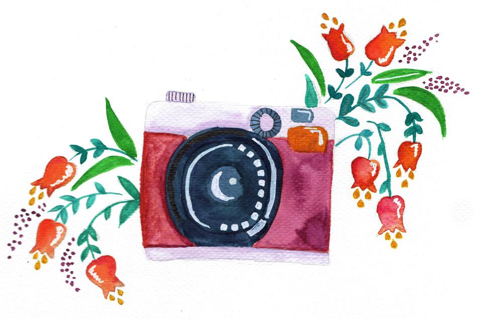 Photo cameras - image 1 - student project