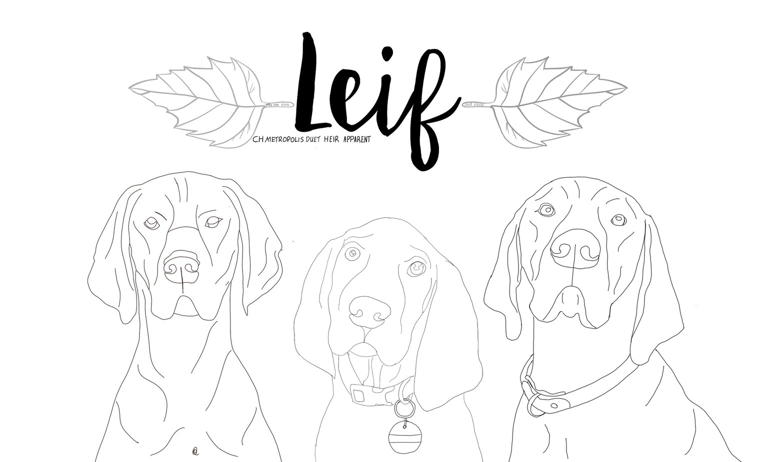 leif ~ one line drawing - image 1 - student project