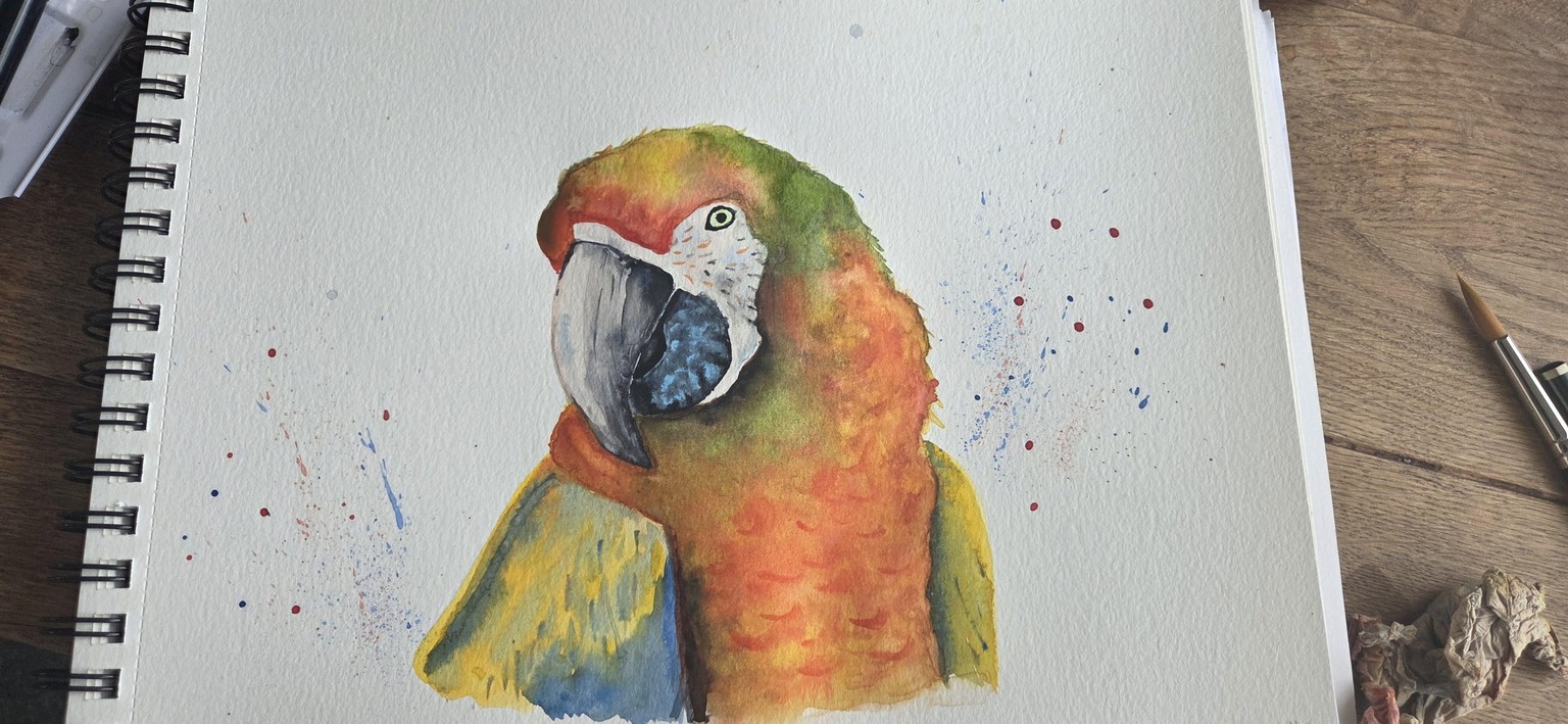 Parrot - image 1 - student project