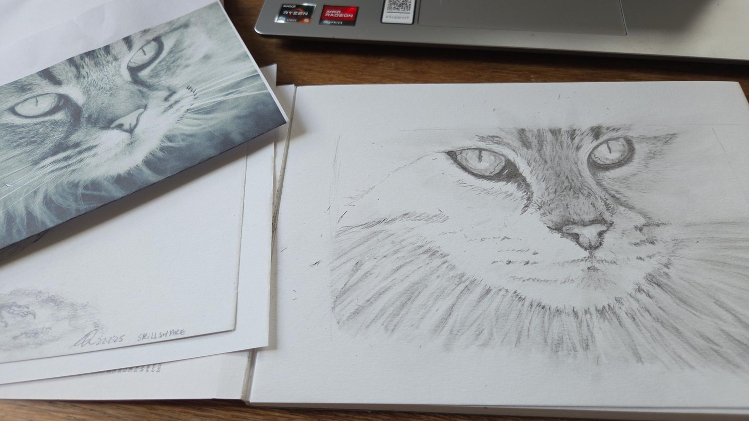 My cat - image 1 - student project