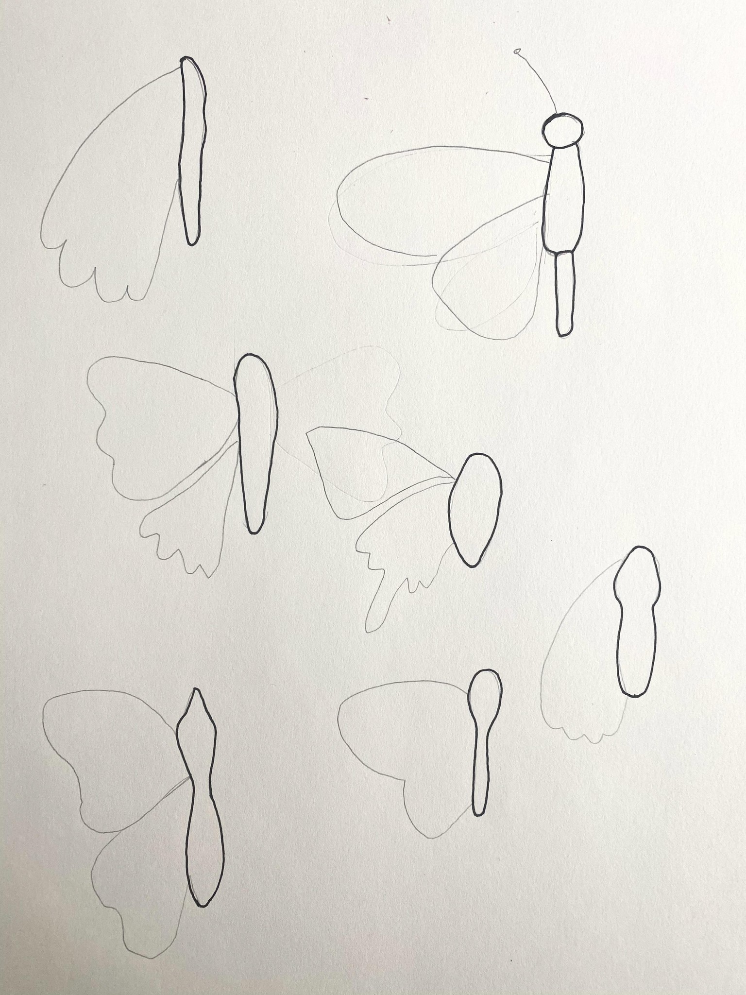 Butterflies and Moths by Maribel - image 3 - student project