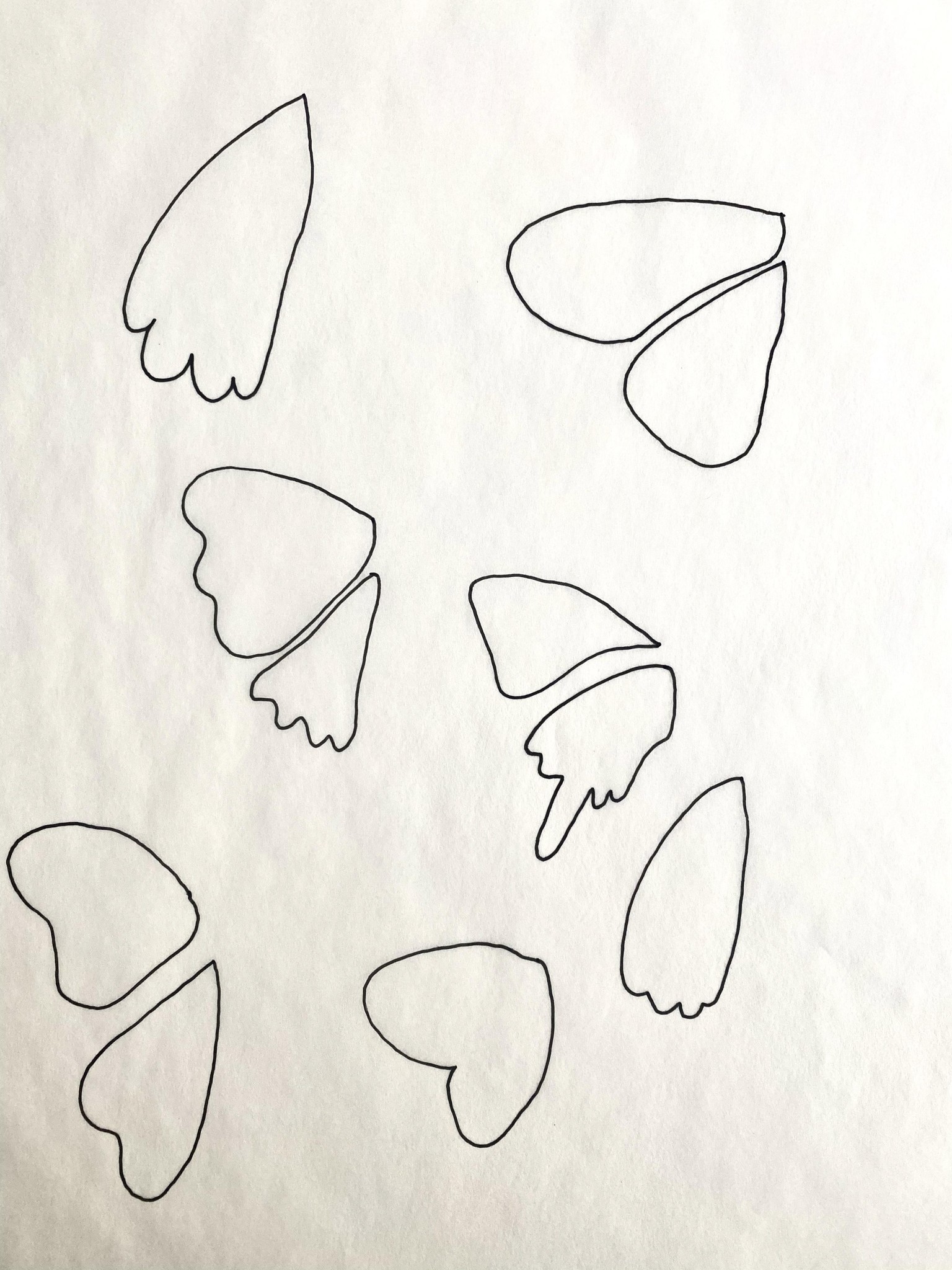 Butterflies and Moths by Maribel - image 4 - student project
