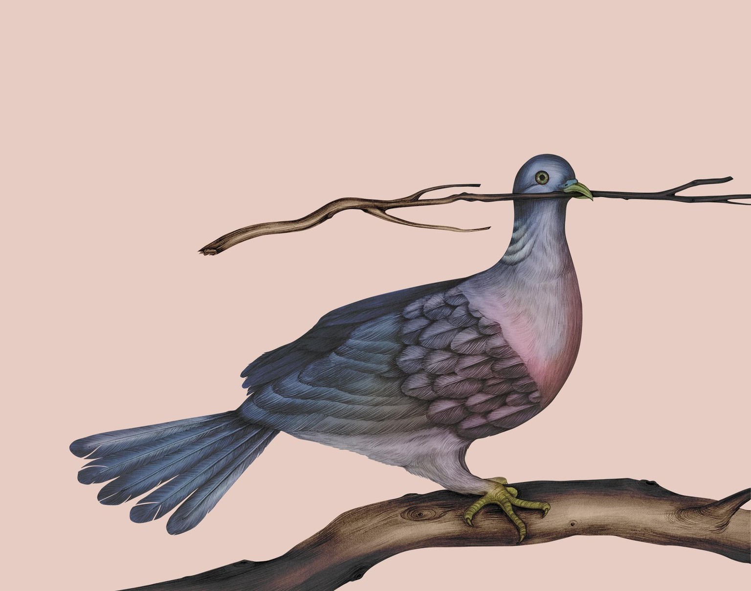Birds in my Artworks - image 3 - student project