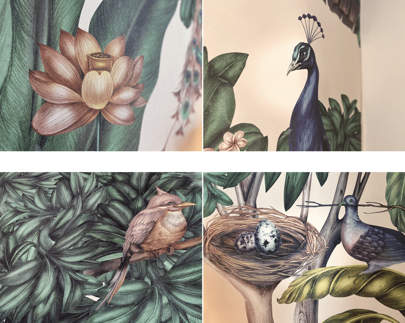 Birds in my Artworks - image 6 - student project