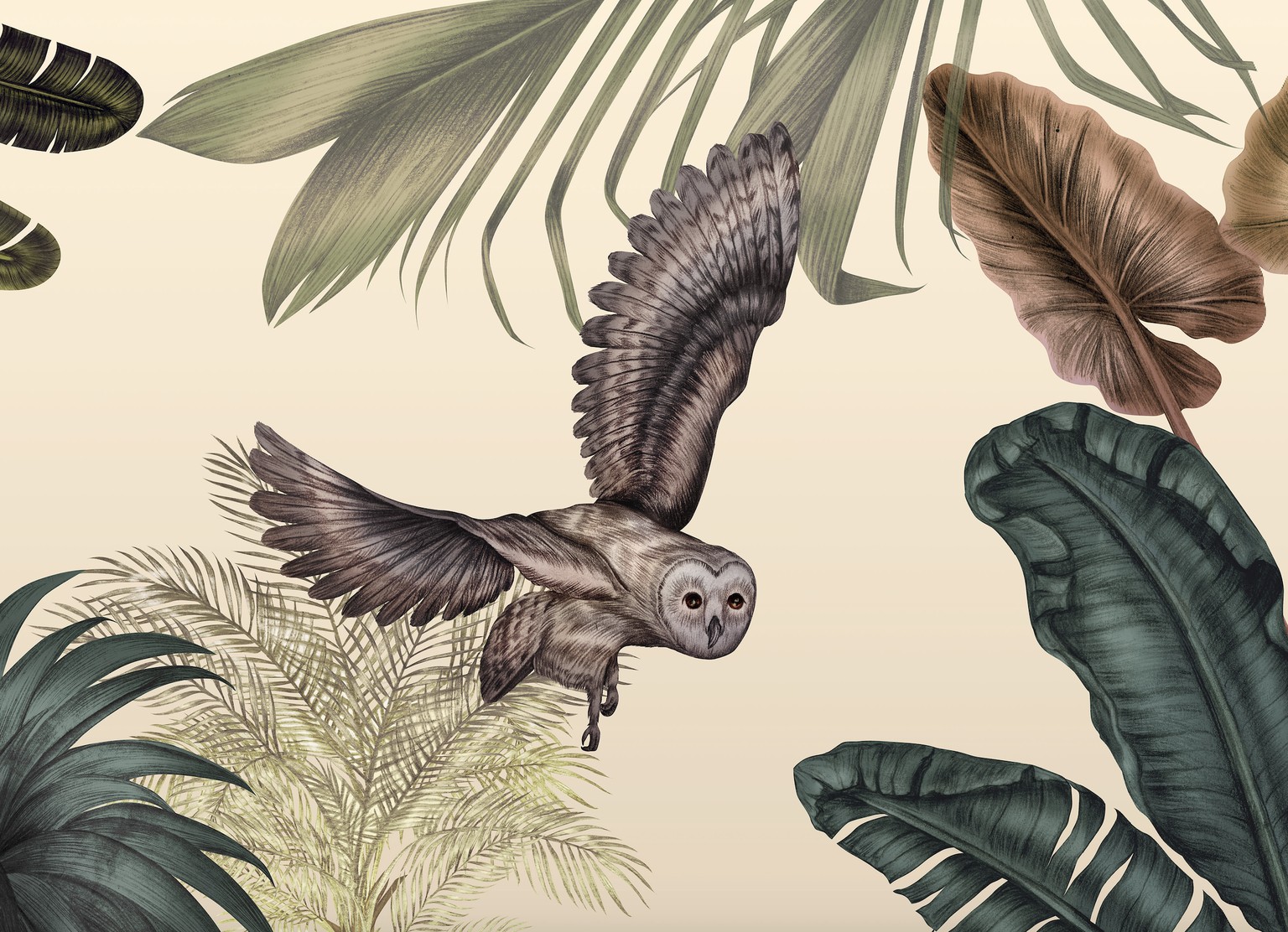 Botanical World - Colour of the Background - image 3 - student project