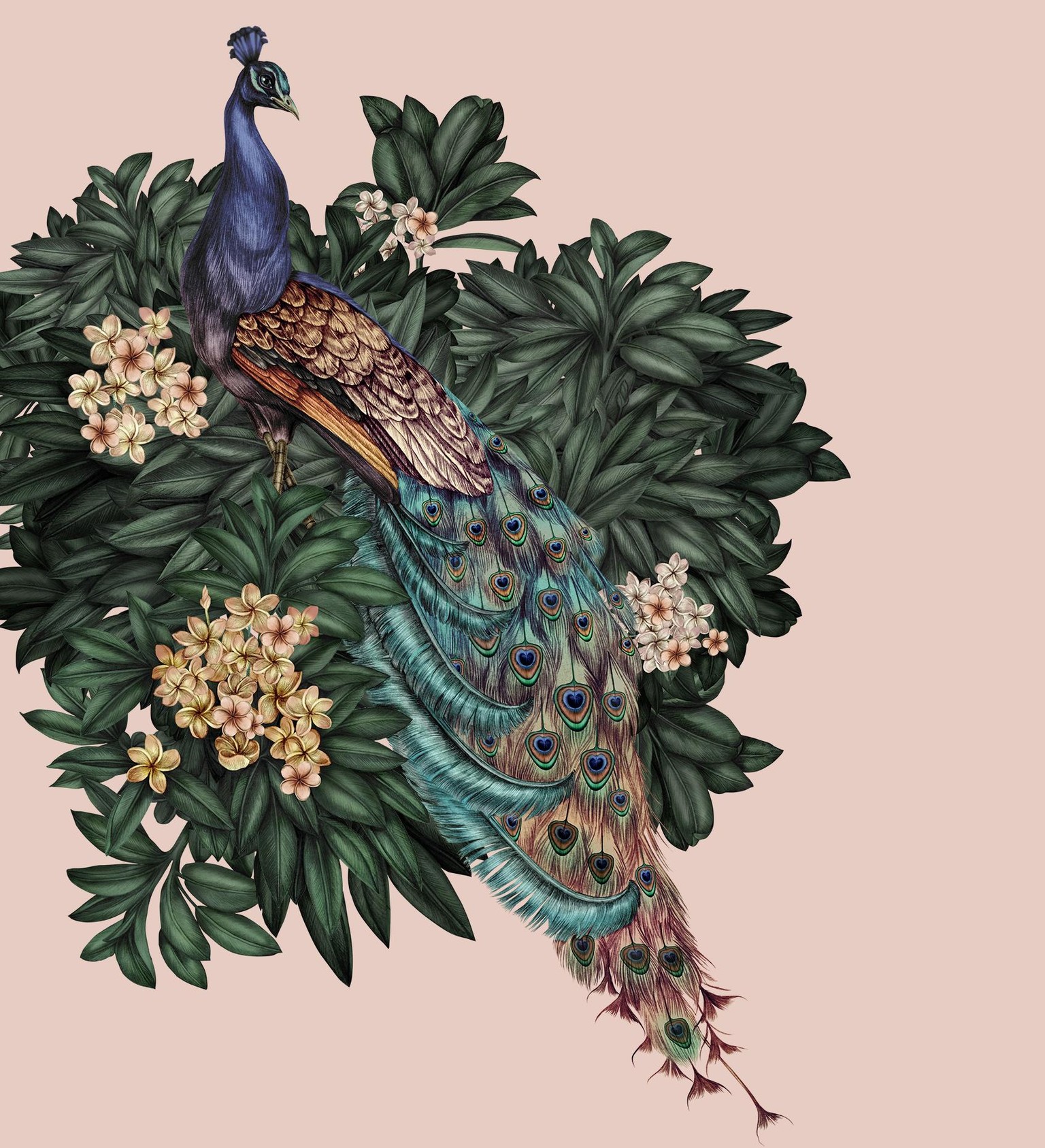 Birds in my Artworks - image 4 - student project