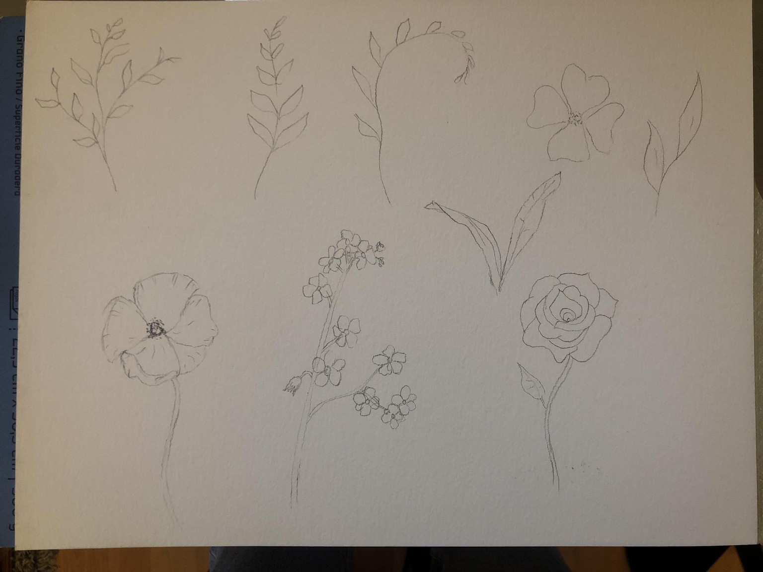 Watercolors to Digital Assets to Beautiful Name Card - image 1 - student project