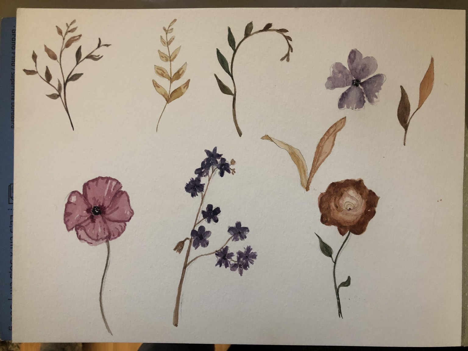 Watercolors to Digital Assets to Beautiful Name Card - image 2 - student project