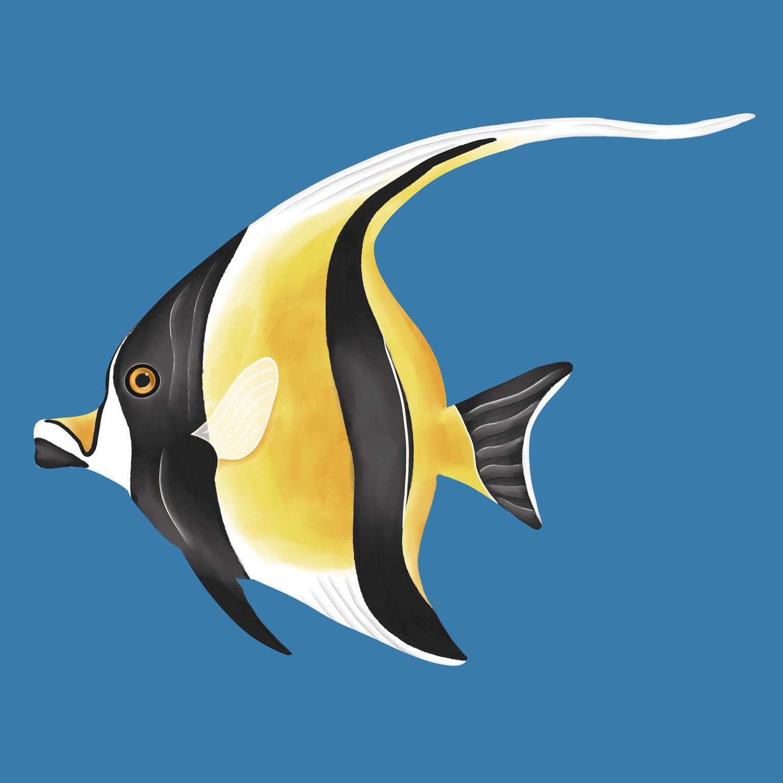 Tropical fish - image 1 - student project