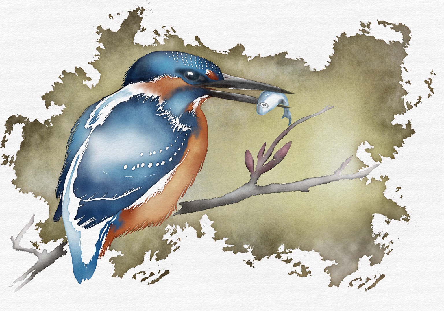 Pear, Kingfisher & Frog - image 2 - student project