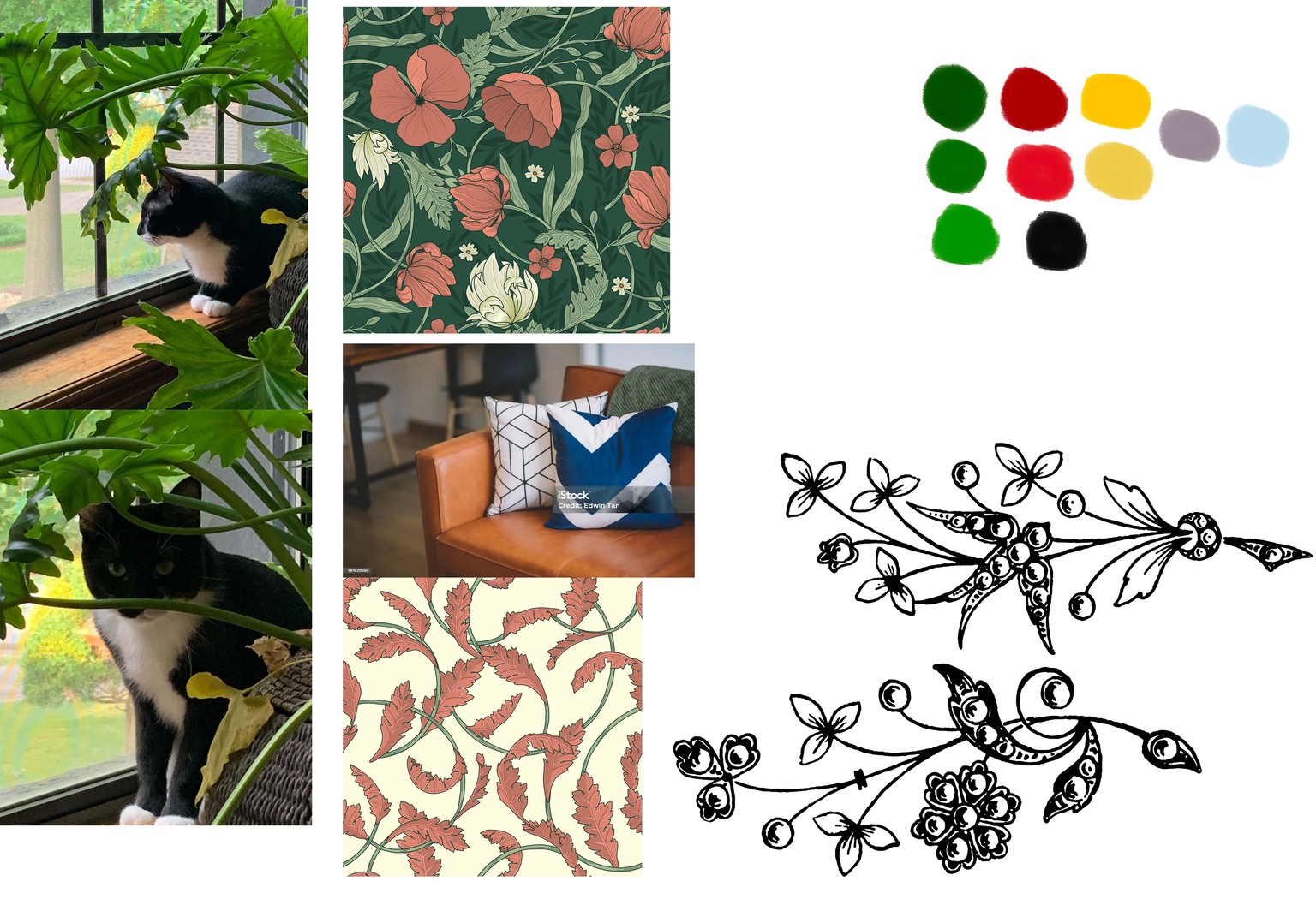 Kiki- Jungle Cat - image 1 - student project