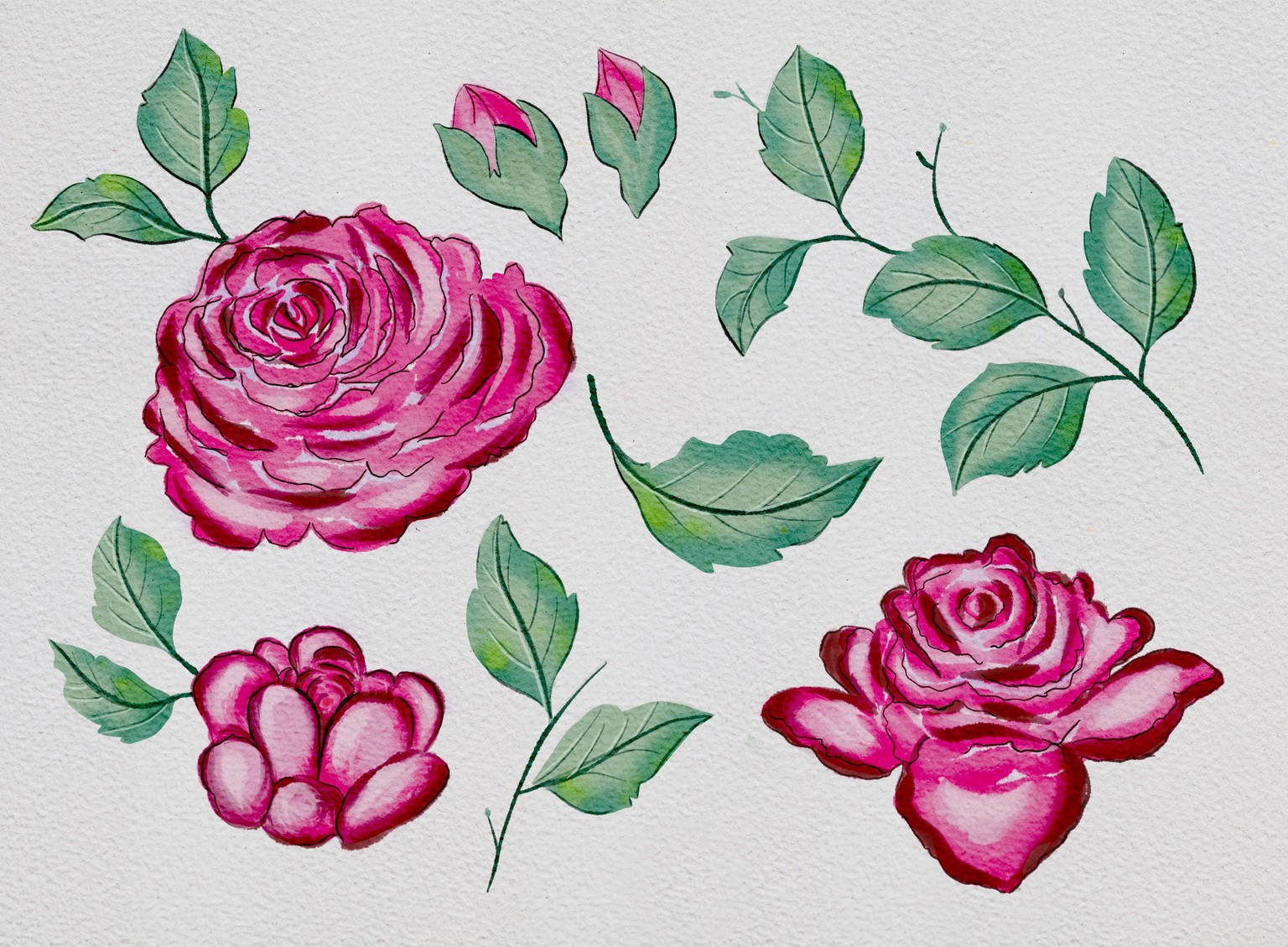 Watercolor Roses on Procreate with Silvi - image 1 - student project