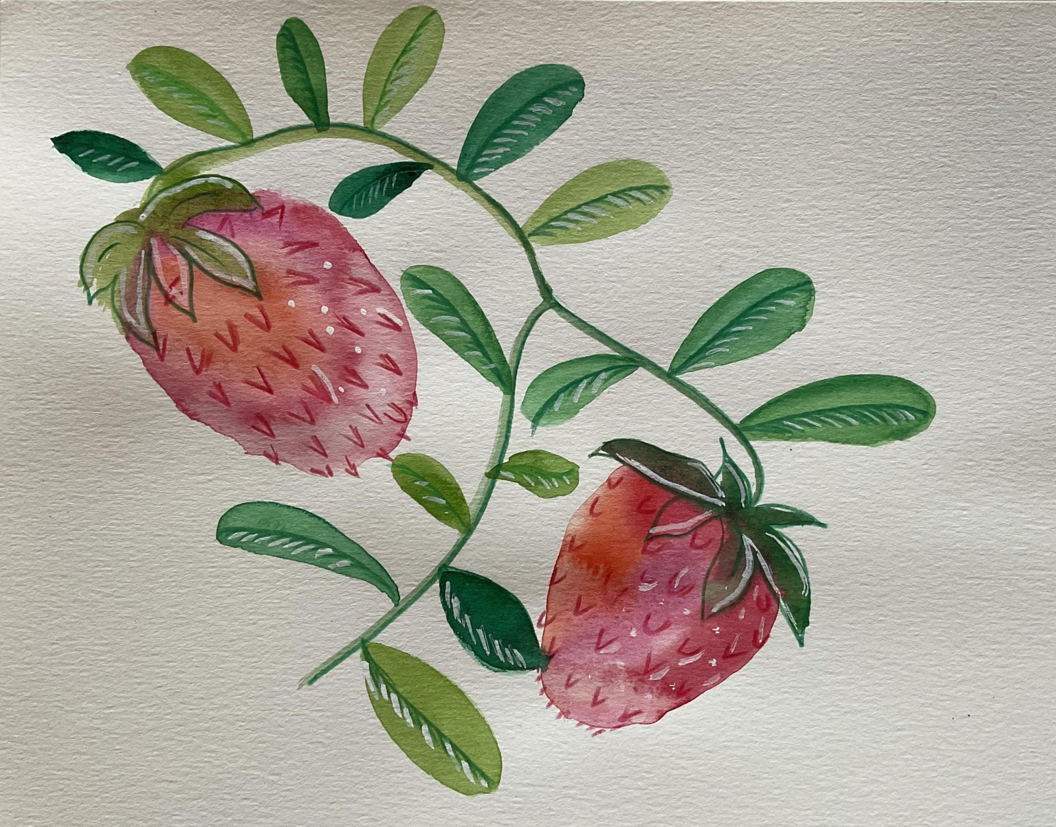 Strawberries in 2 Styles - image 2 - student project