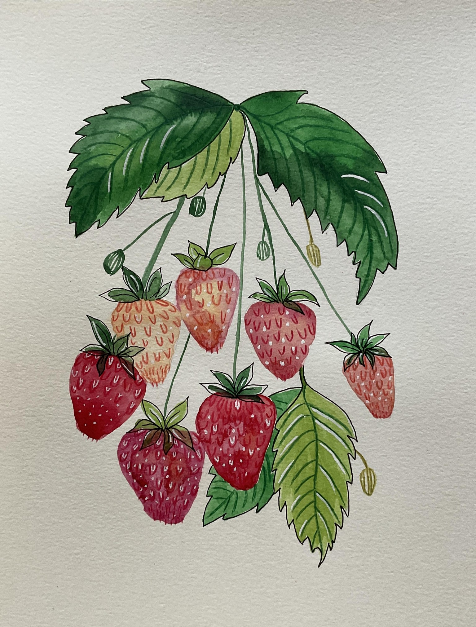 Strawberries in 2 Styles - image 5 - student project