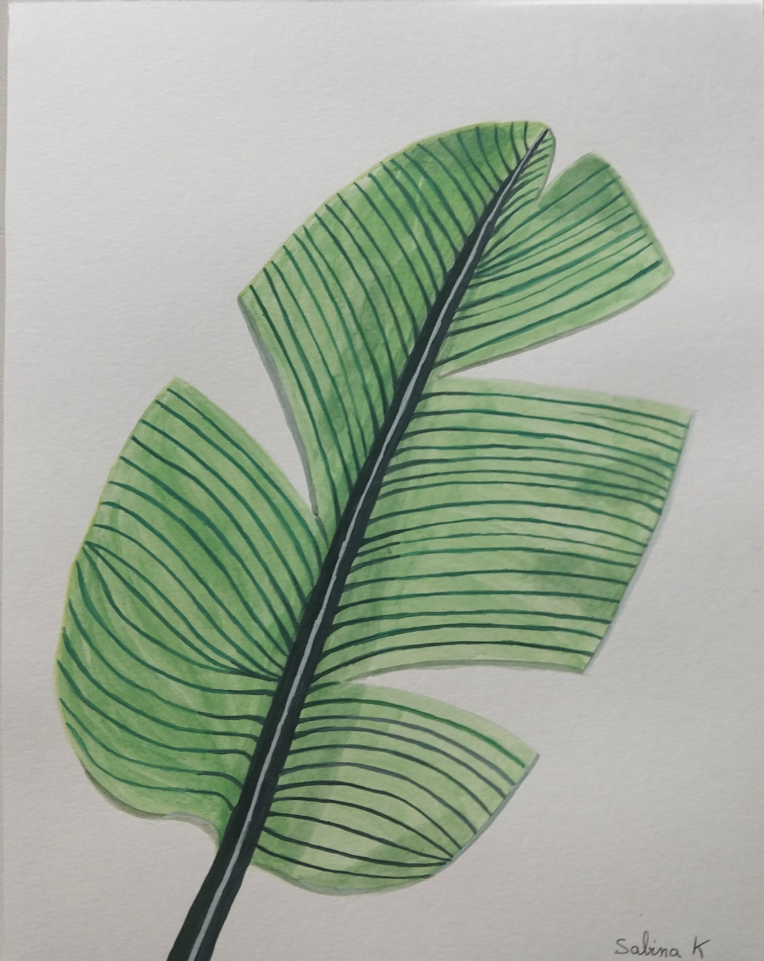 Tropical Leaves in Gouache - image 2 - student project