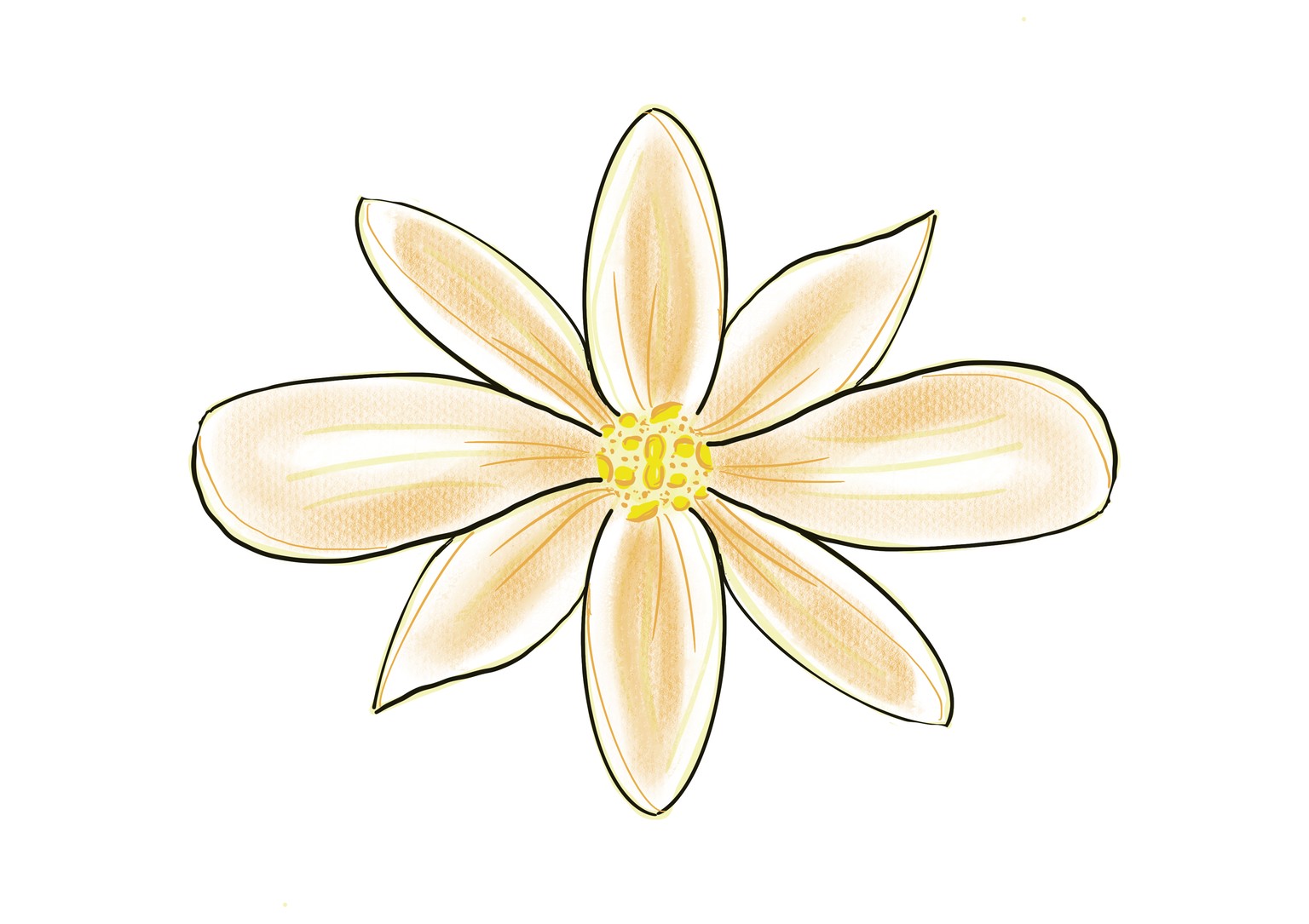 Digital Art with Procreate: Botanicals - image 5 - student project